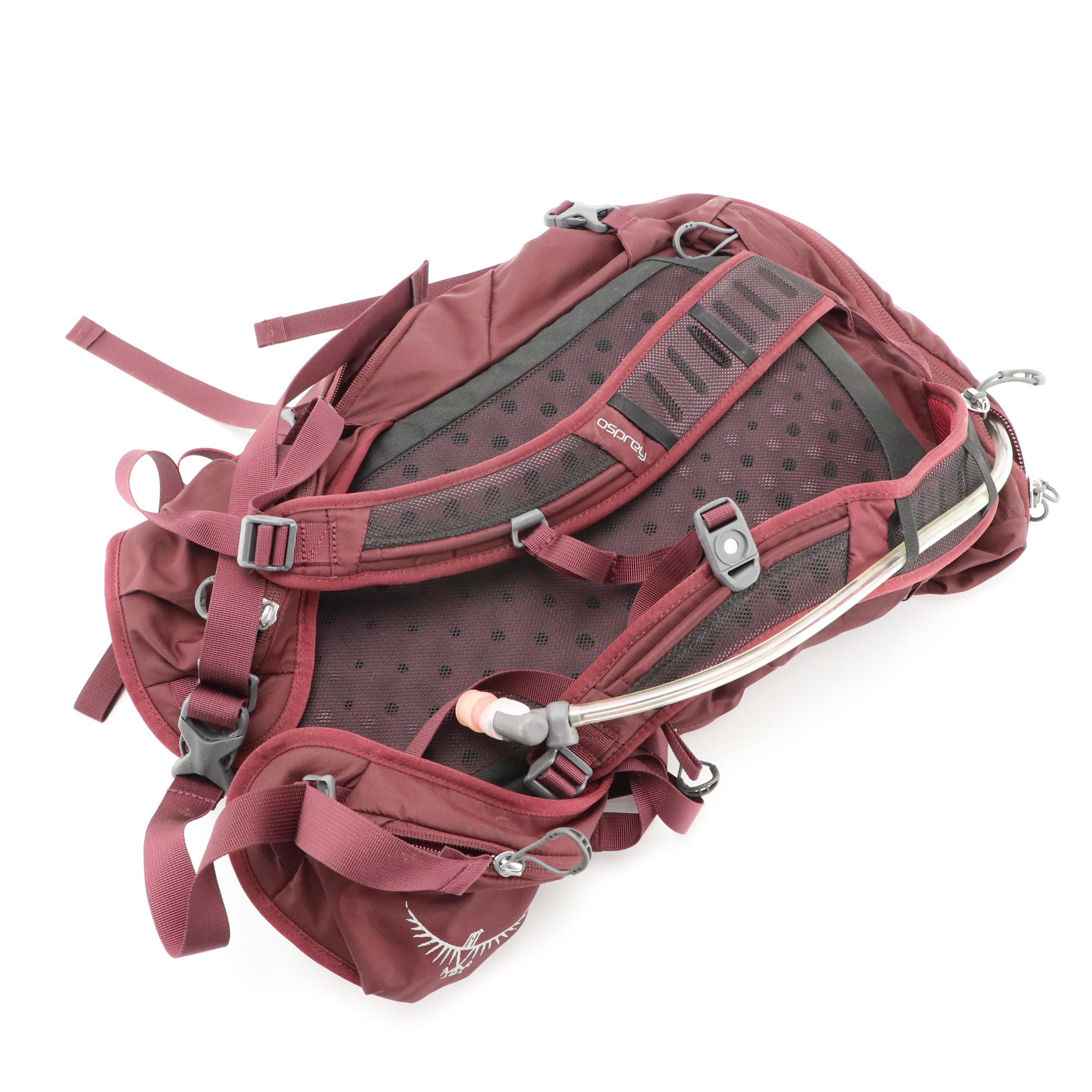 Osprey Plum Skimmer 28 Hydration Pack and Cotopaxi Lizon 24 Multicolor