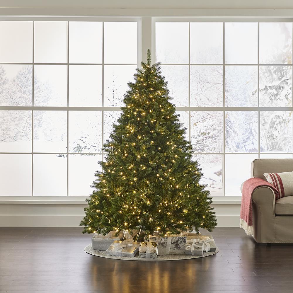 Warm White 6.5' Pre-Lit Douglas Fir Christmas Tree