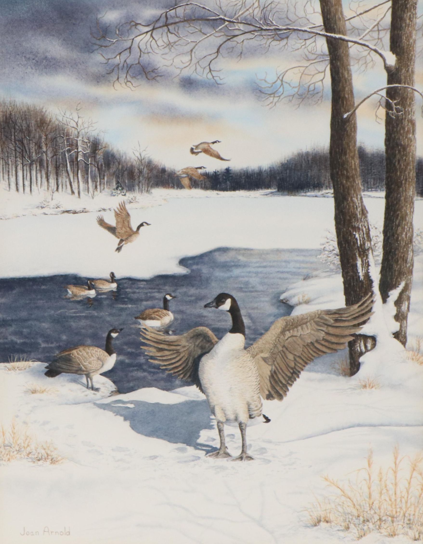 Joan Arnold Watercolor Painting of a Winter Landscape with Canadian Geese