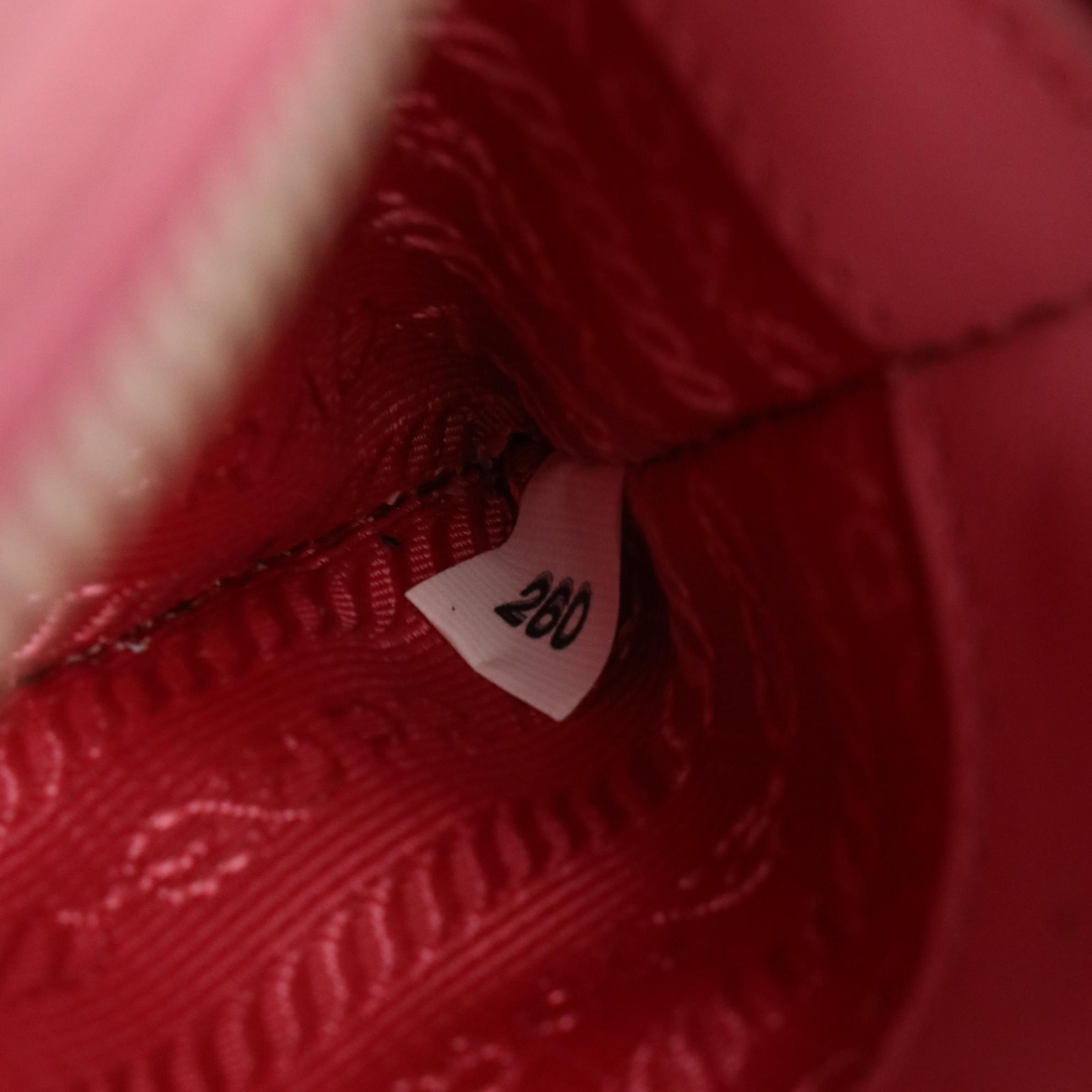 Prada Geranium Pink Diagramme Leather Camera Crossbody Bag