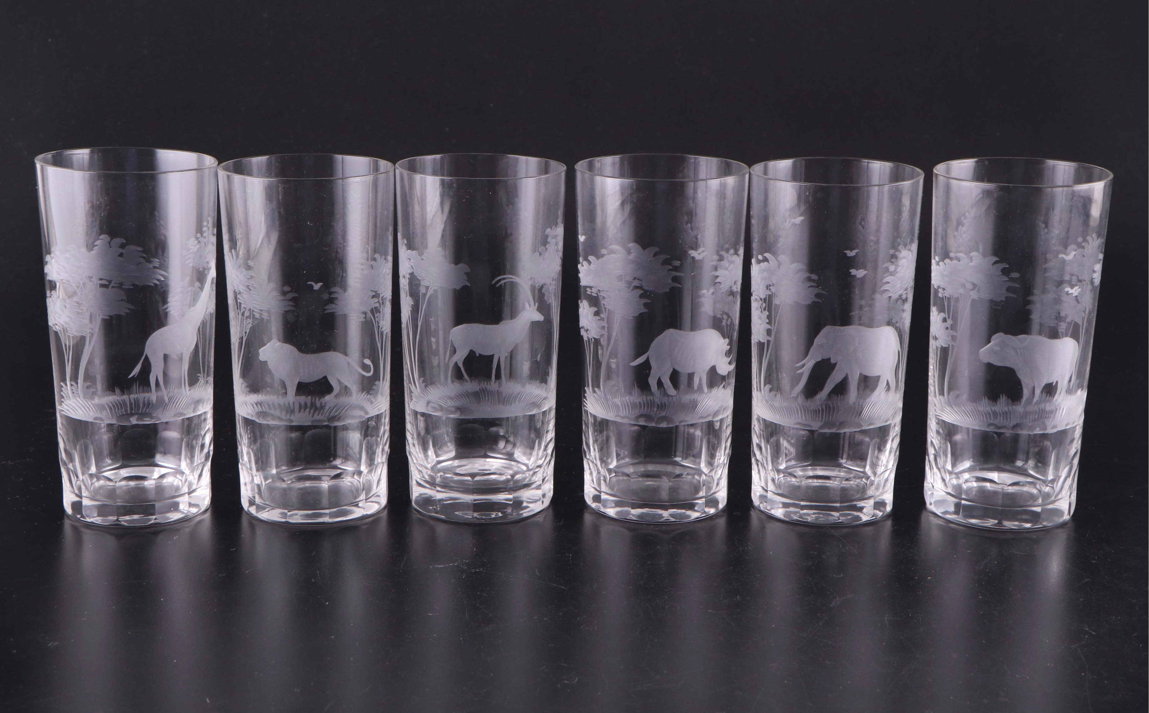 Wedgwood "Kruger National Park" Ceramic Dinner Plates with Highball Glasses