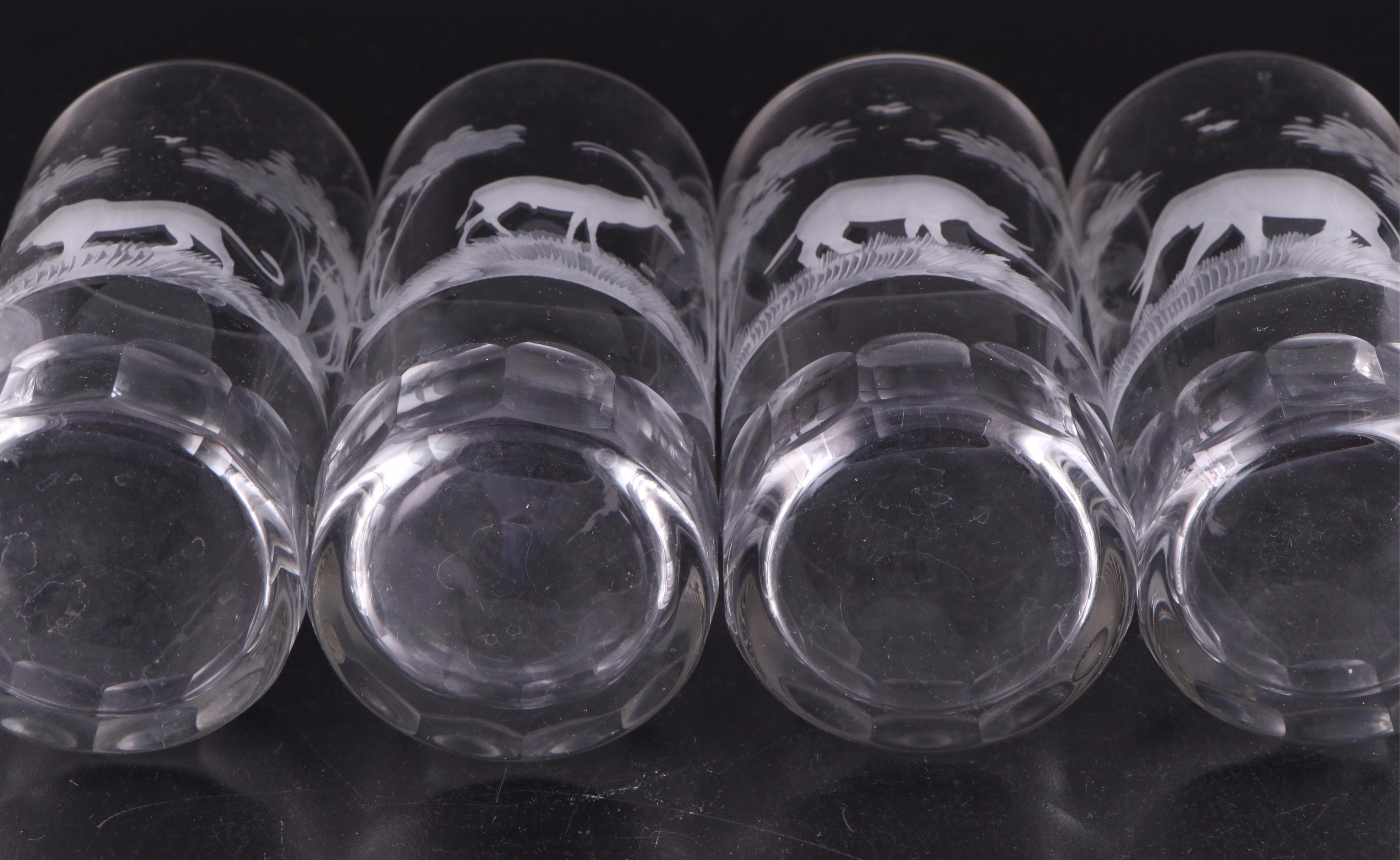 Wedgwood "Kruger National Park" Ceramic Dinner Plates with Highball Glasses