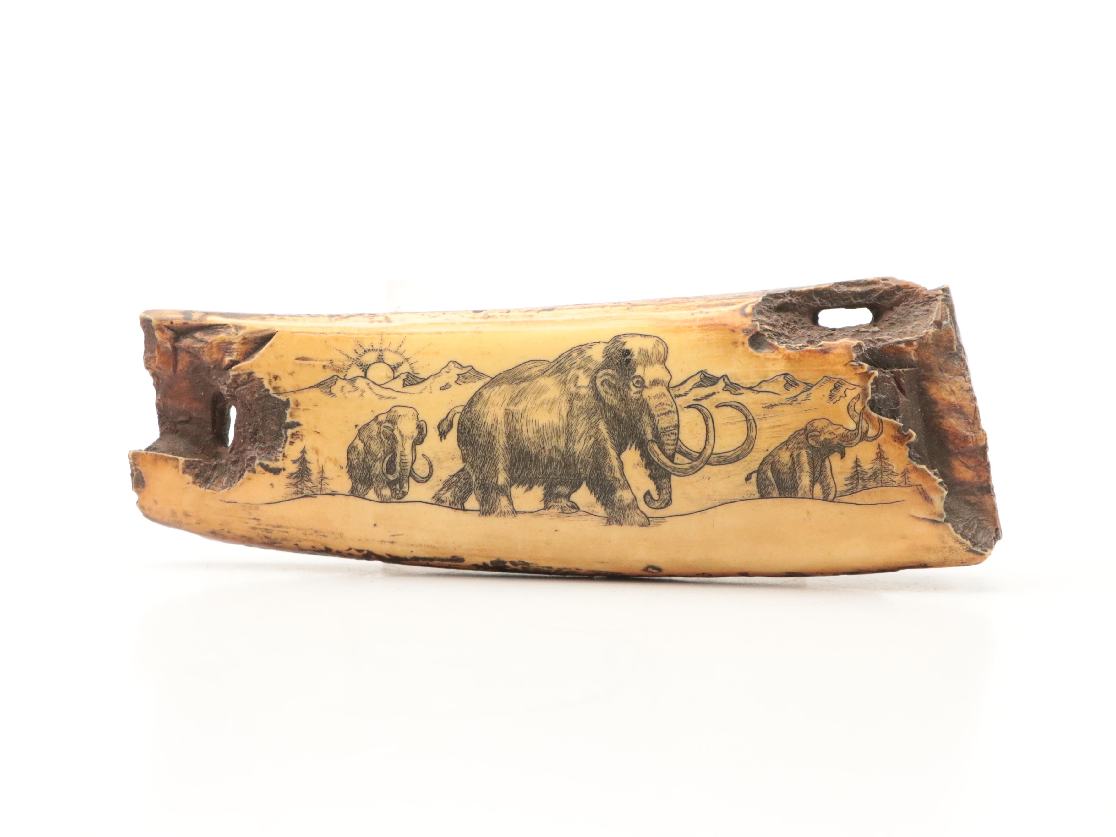 Fossilized Mammoth Ivory Depicting Migrating Mammoths and Other Scrimshaw Pieces