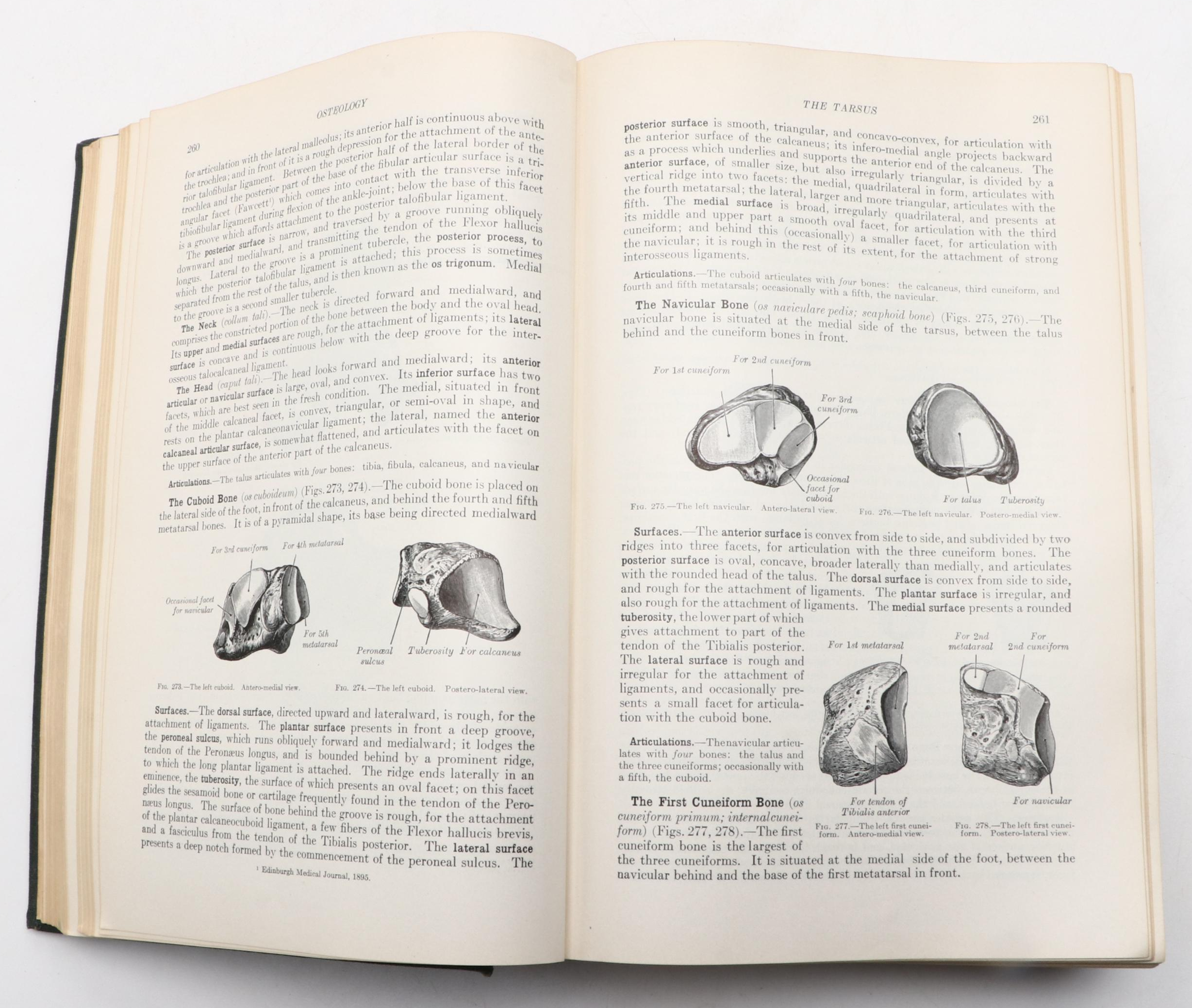 Illustrated "Anatomy of the Human Body" by Henry Gray, 1936