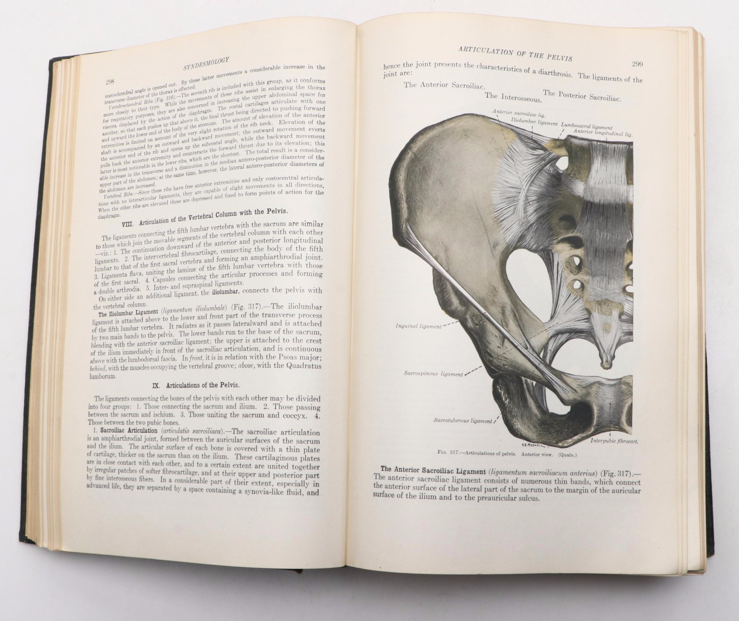 Illustrated "Anatomy of the Human Body" by Henry Gray, 1936
