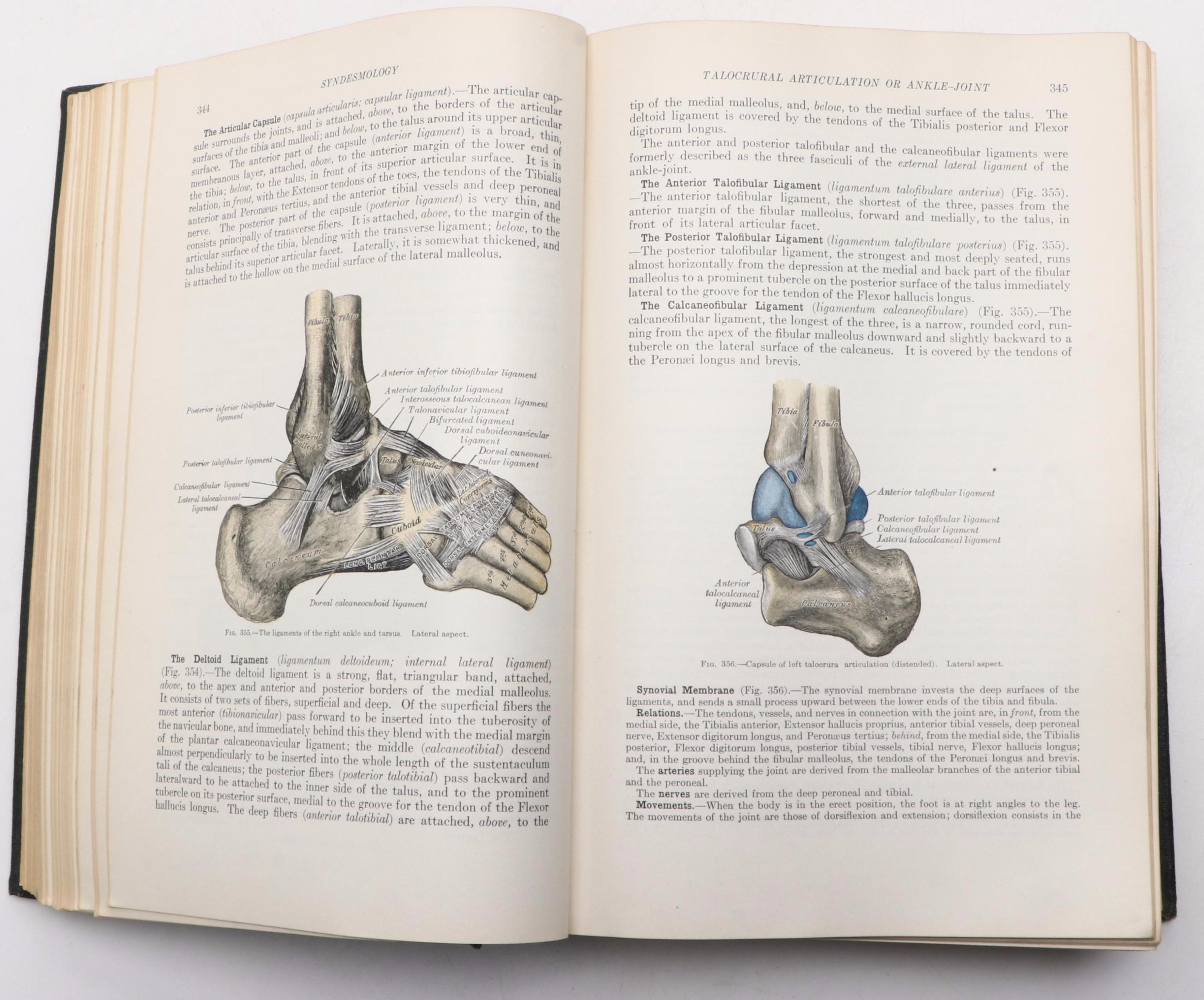 Illustrated "Anatomy of the Human Body" by Henry Gray, 1936