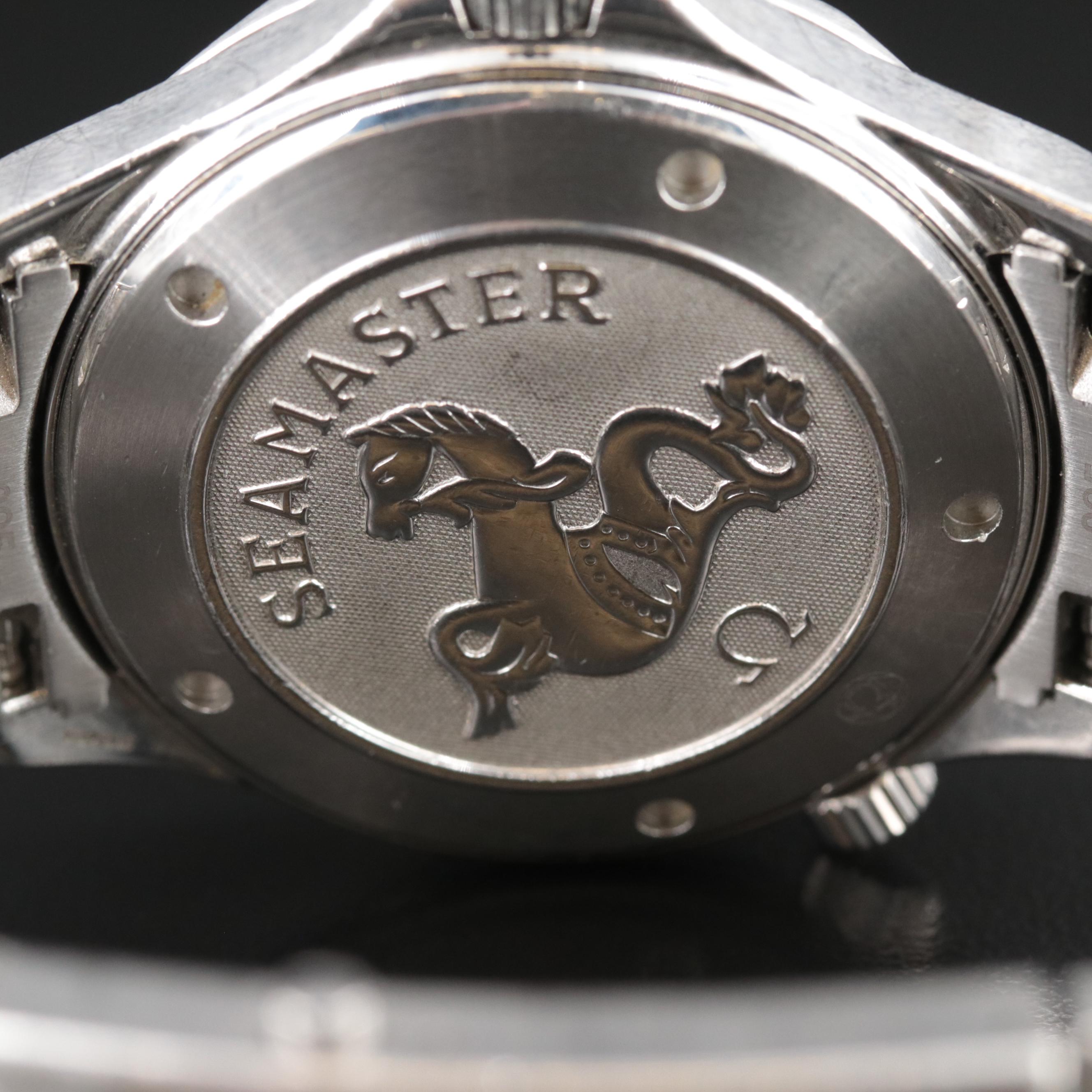 Omega Seamaster Professional 300M Black Wave Watch