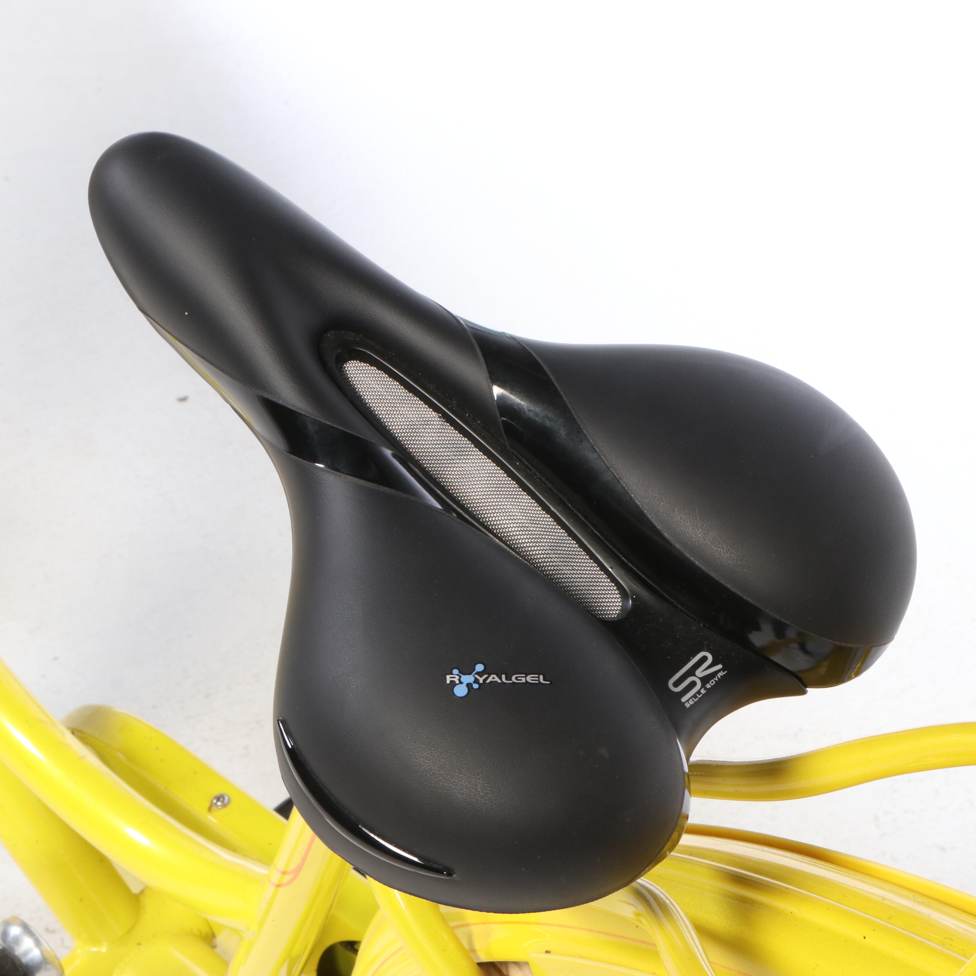 Electra "Amsterdam Classic 3" Women's Cruiser Bike with L.L. Bean Basket