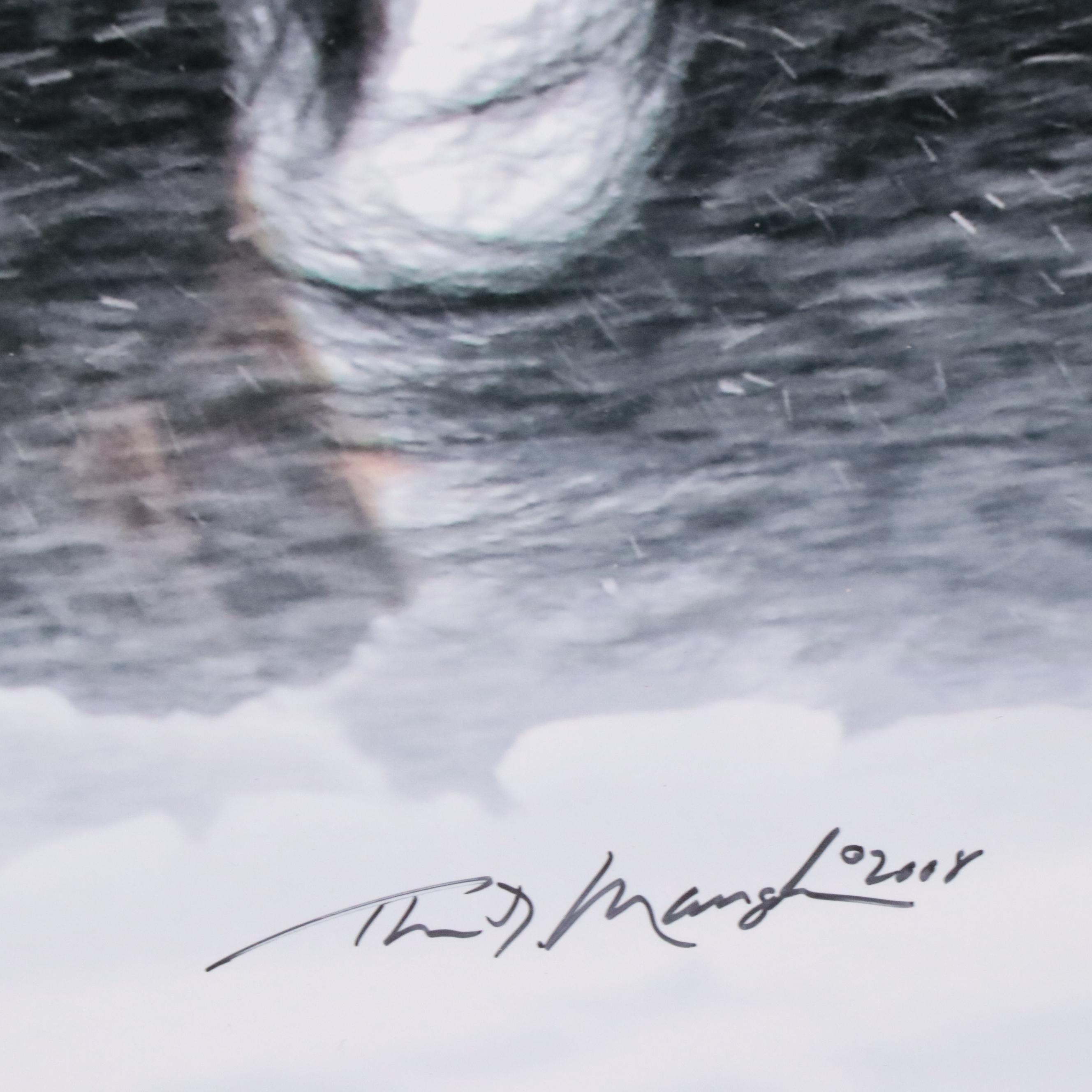 Thomas D. Mangelsen Photograph of an American Bison, 2008