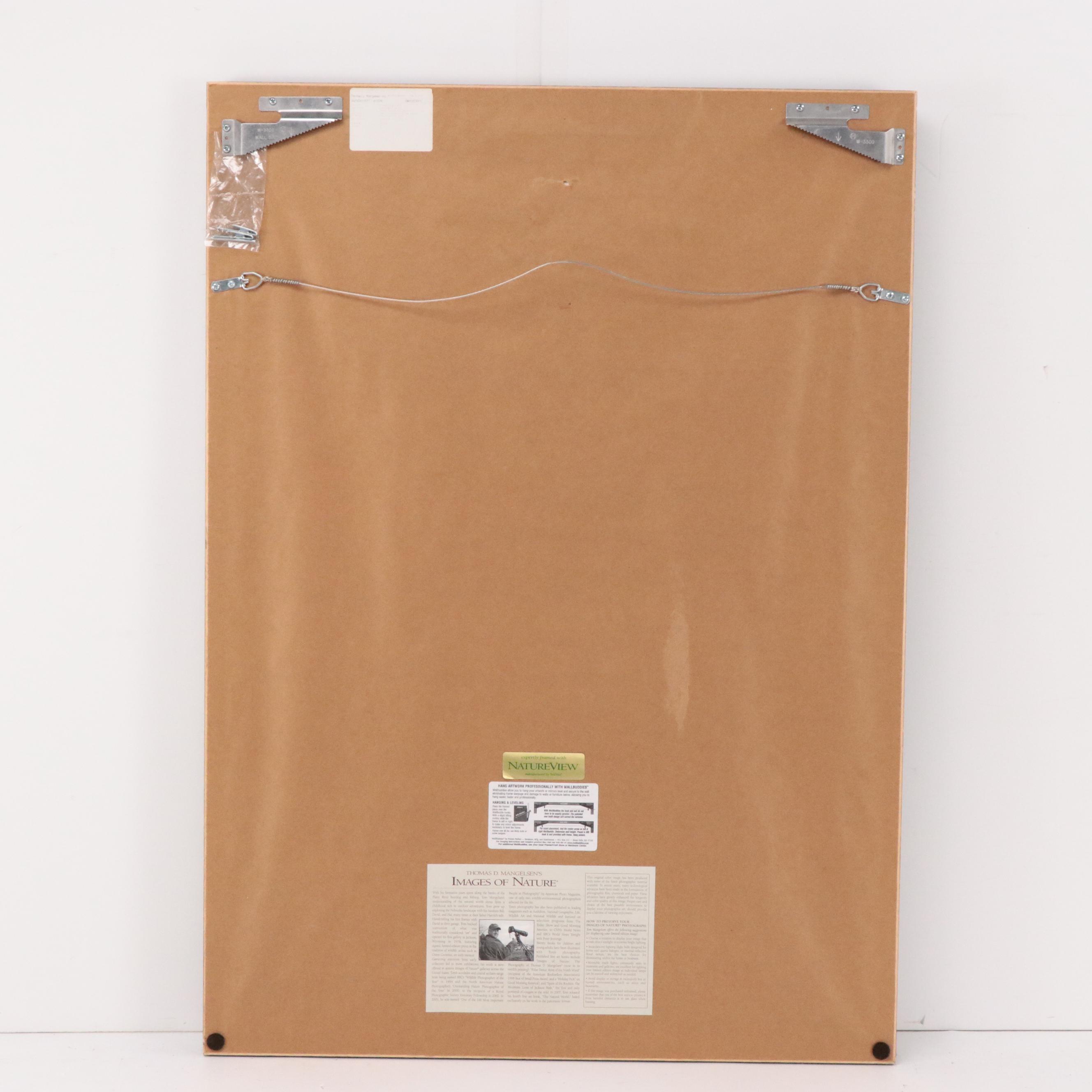 Thomas D. Mangelsen Photograph of an American Bison, 2008