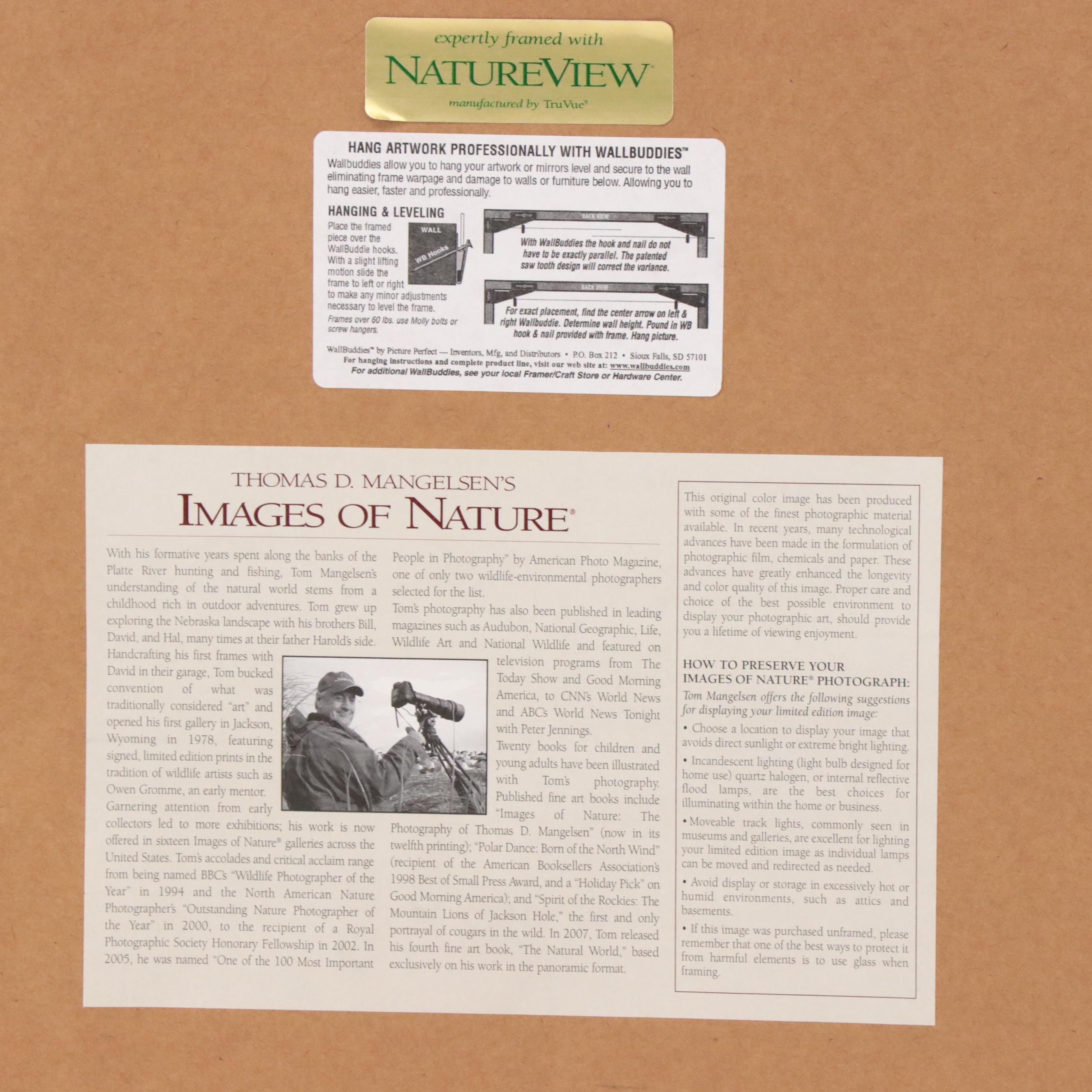 Thomas D. Mangelsen Photograph of an American Bison, 2008