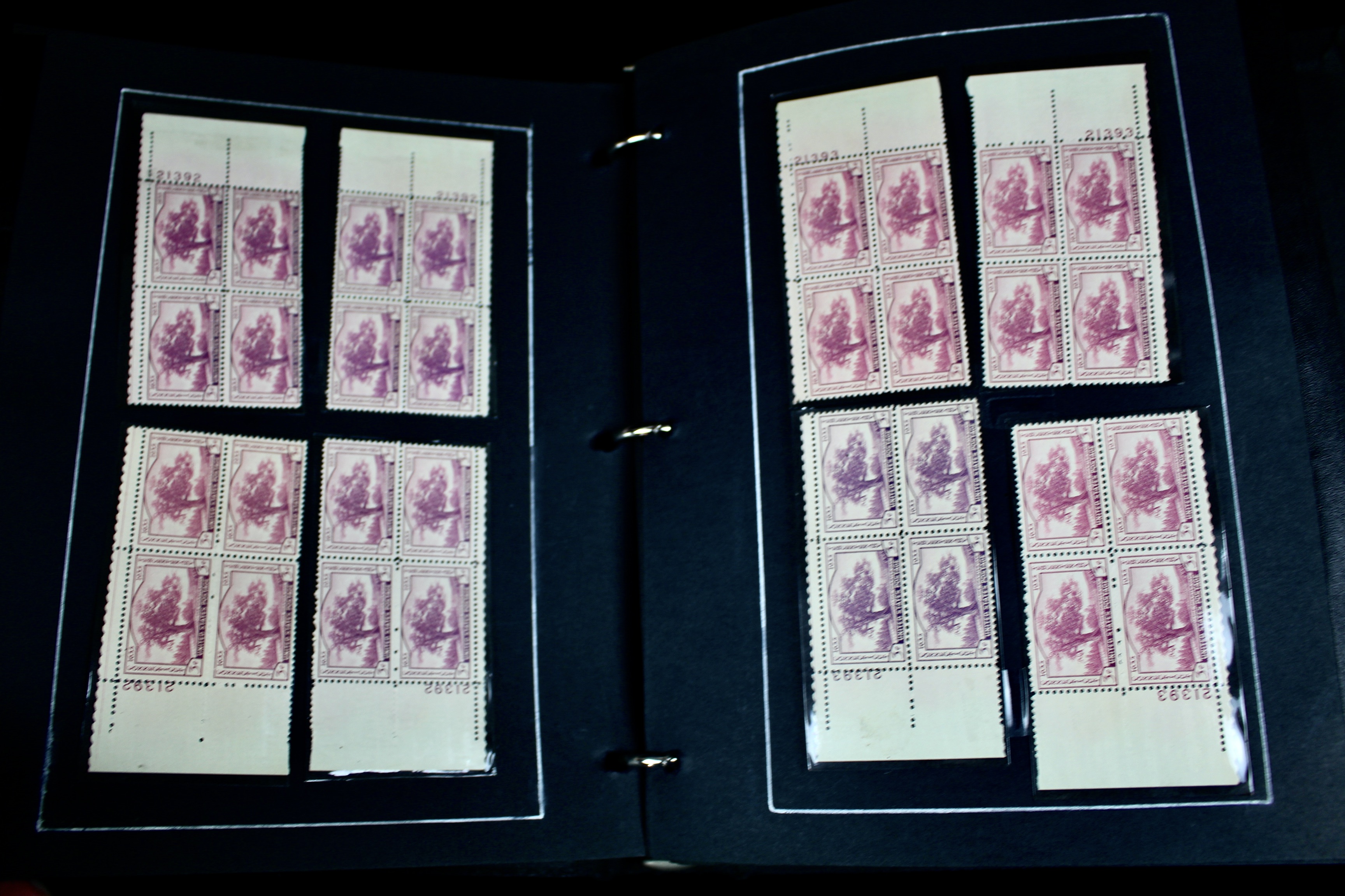 340 Matched Plate Blocks from the 1940's and 1950's