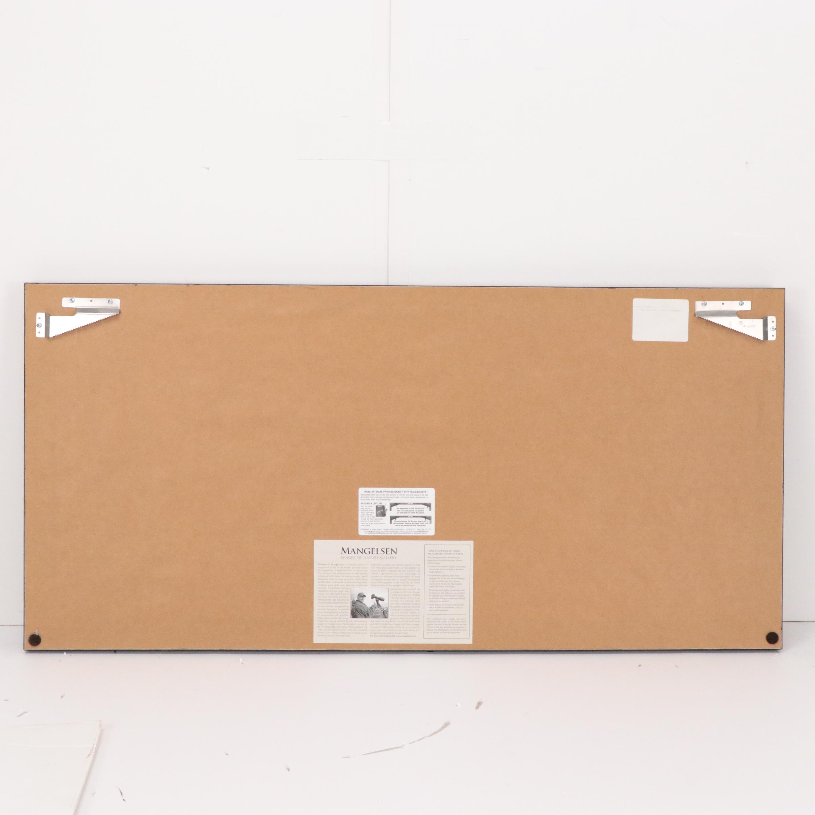 Thomas D. Mangelsen Panoramic Photograph "September Showers - Oxbow," 2003