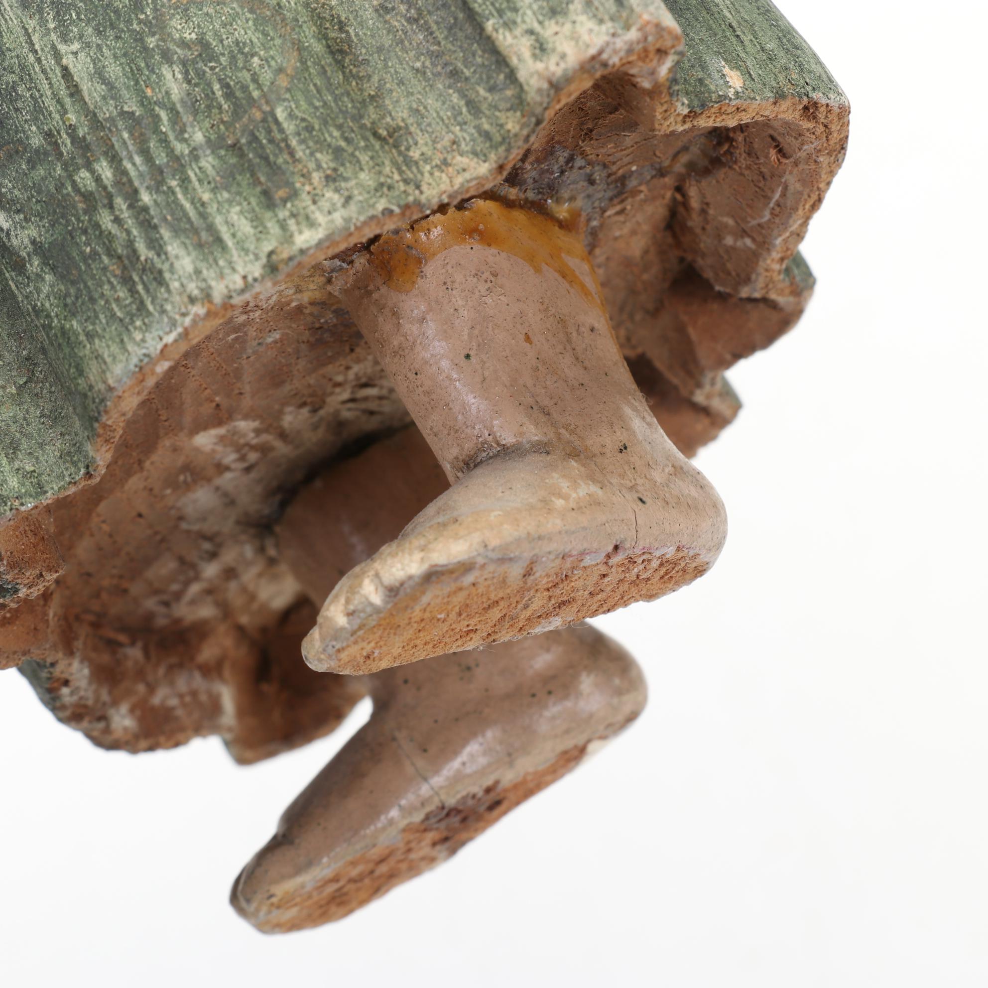 Wooden Carving of Monk With Detailed, Hand Painted Features