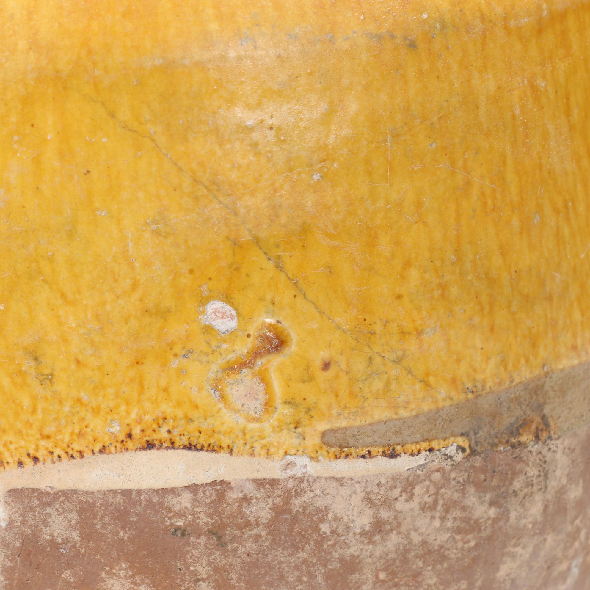 Sunflower Yellow Glazed Terracotta Amphora