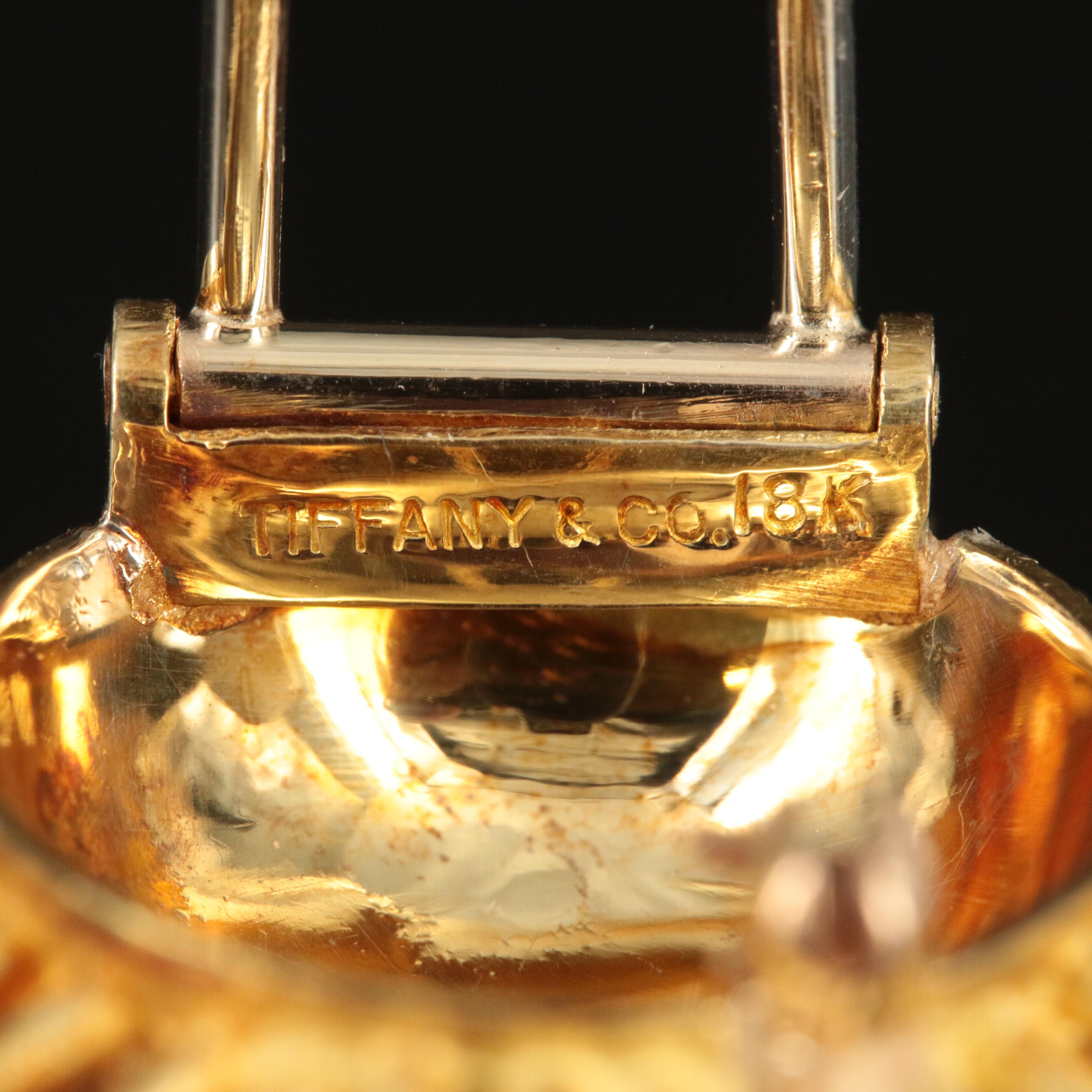 Tiffany & Co. 18K Ruby and Diamond Sea Urchin Brooch