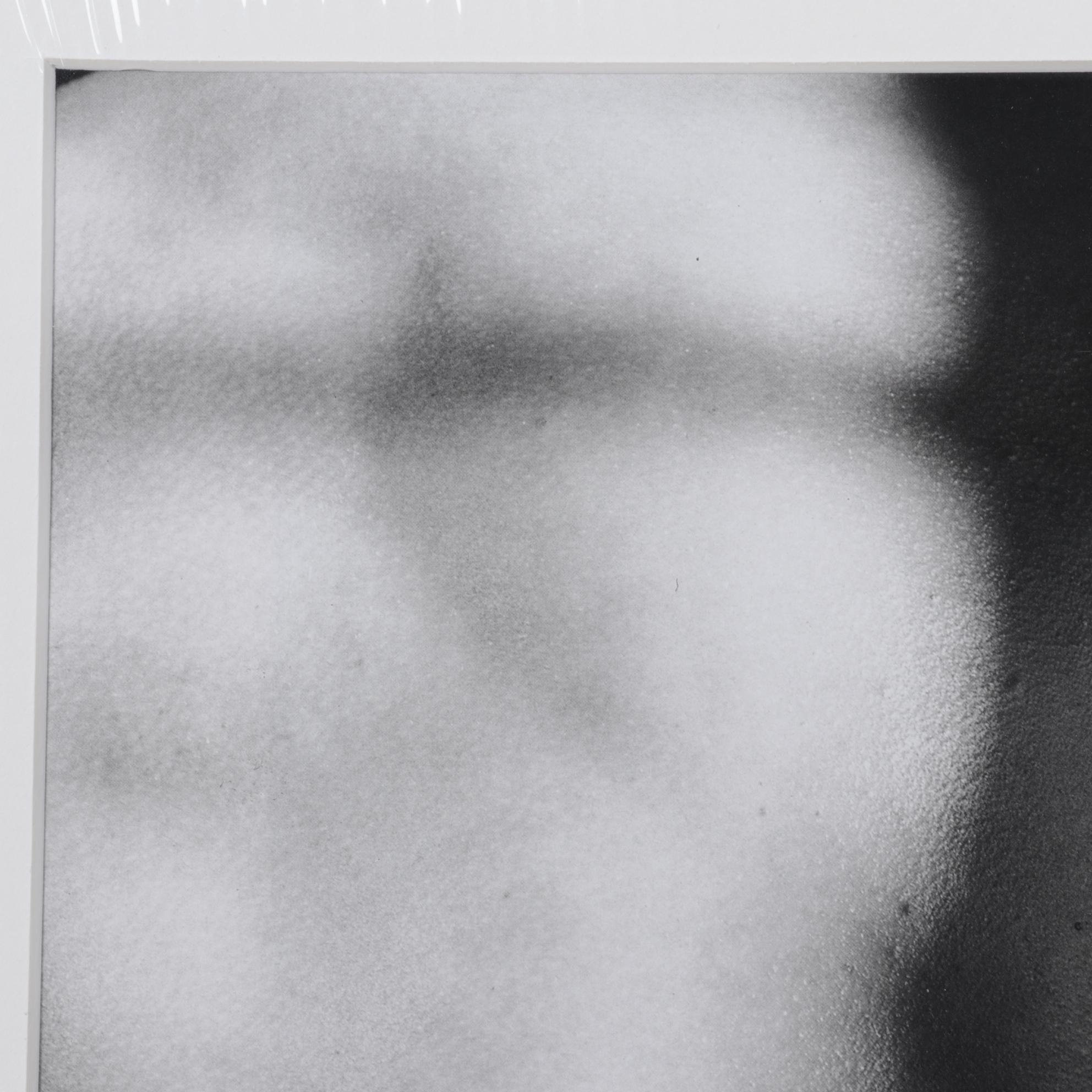 Offset Lithograph after Robert Mapplethorpe "Vibert's Back, 1984"