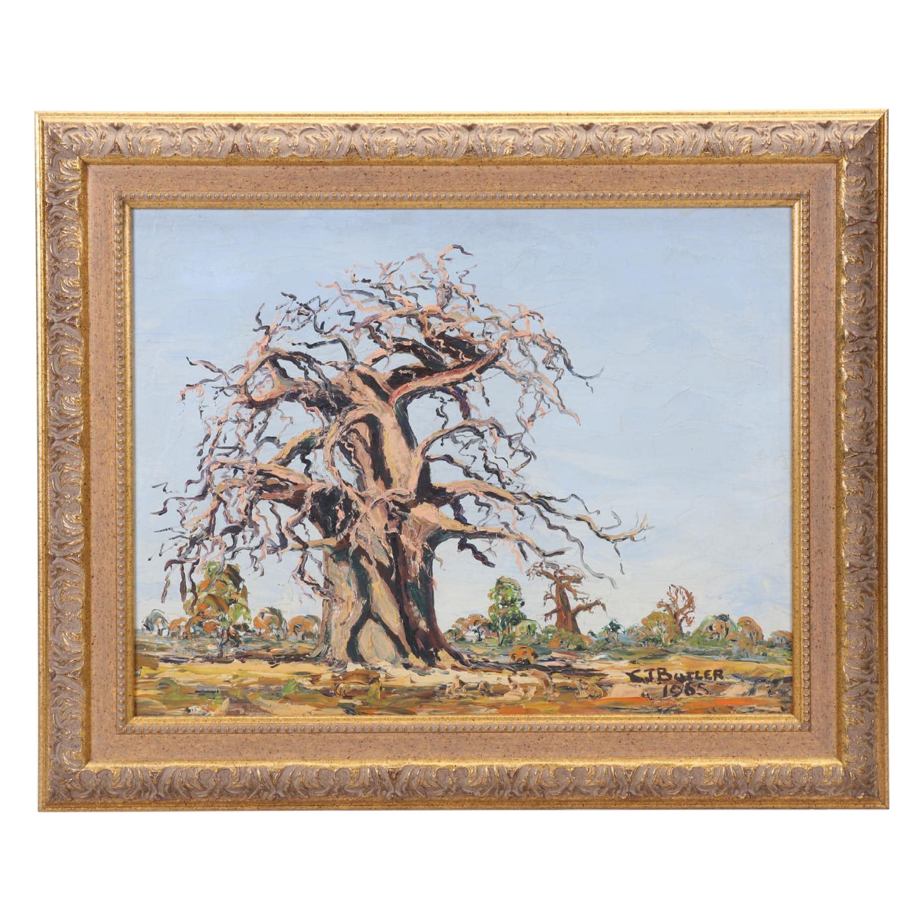 Landscape Oil Painting Of An African Baobab Tree,1965