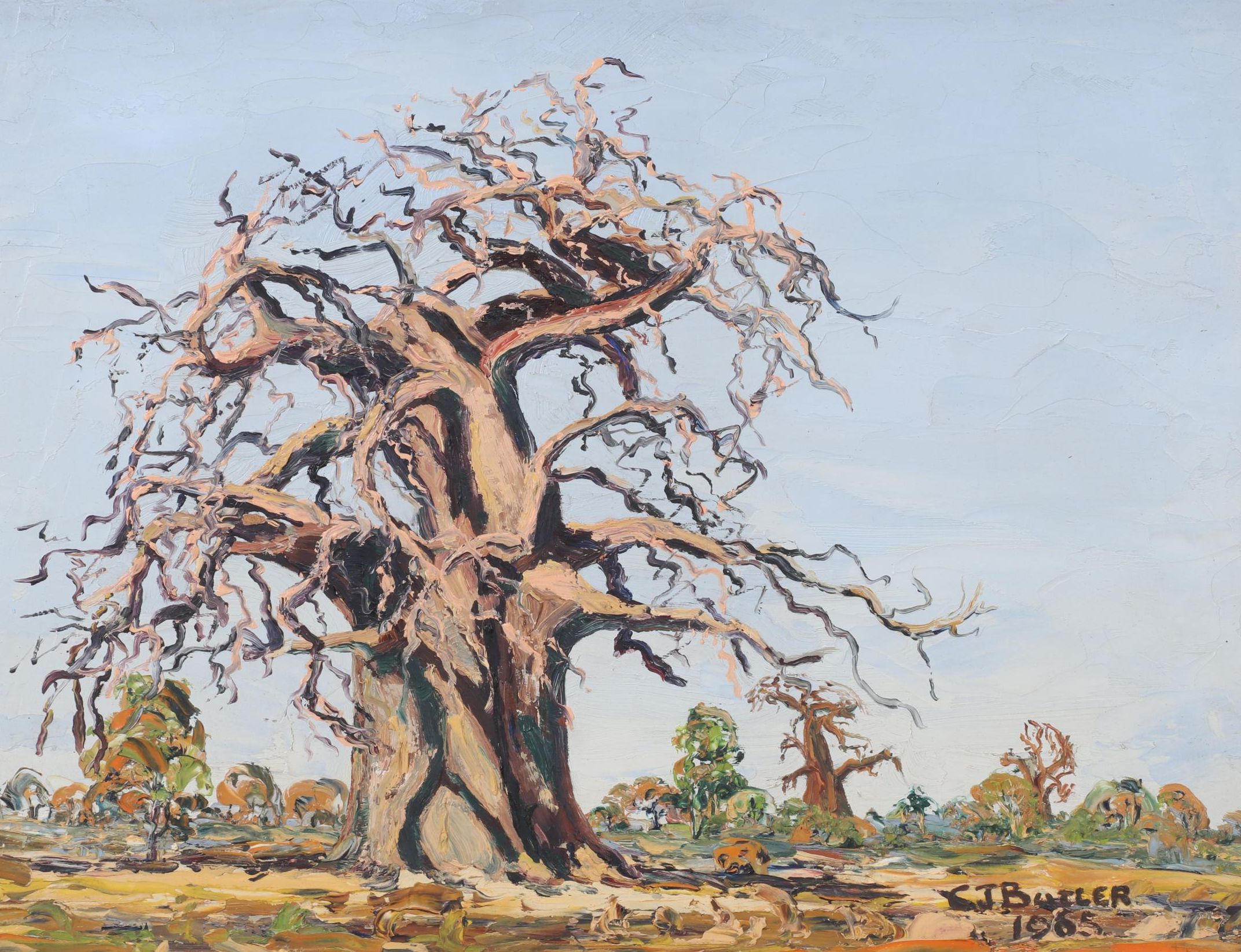Landscape Oil Painting Of An African Baobab Tree,1965