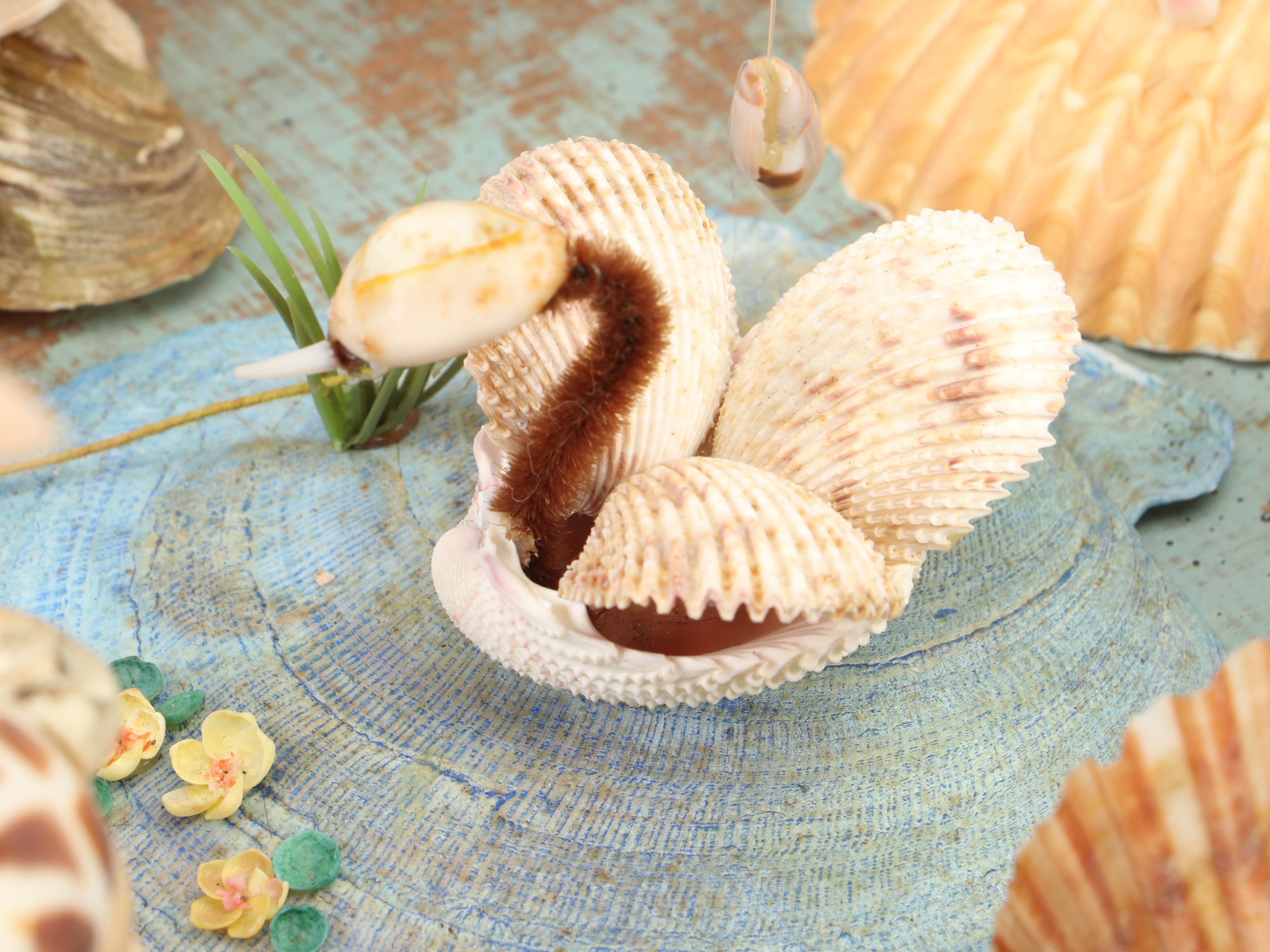 Marine Folk Art Seashell Creature Collection with Rotating Pedestal Stand