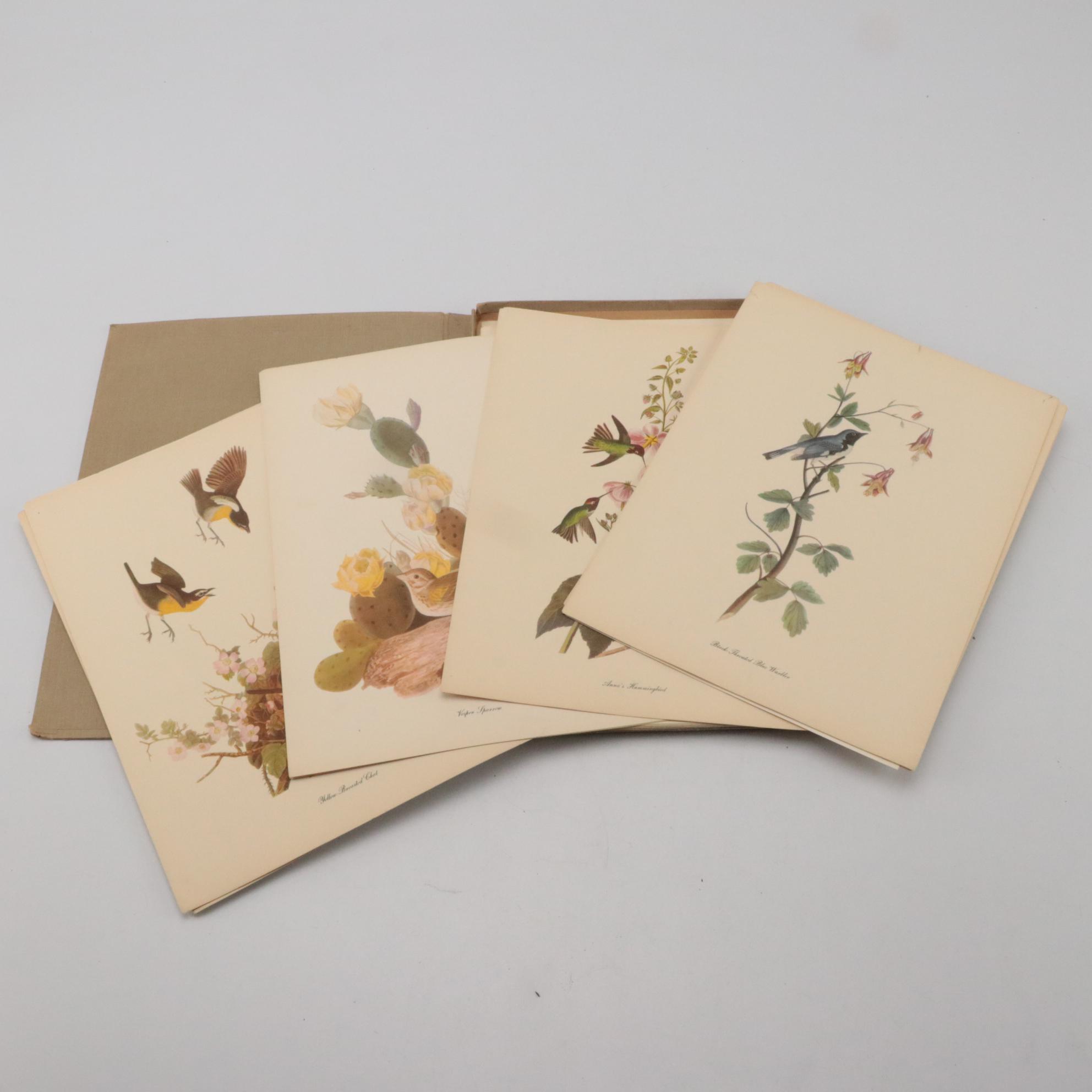 "Audubon's Birds of America" with Commentary by Roger Tory Peterson and More