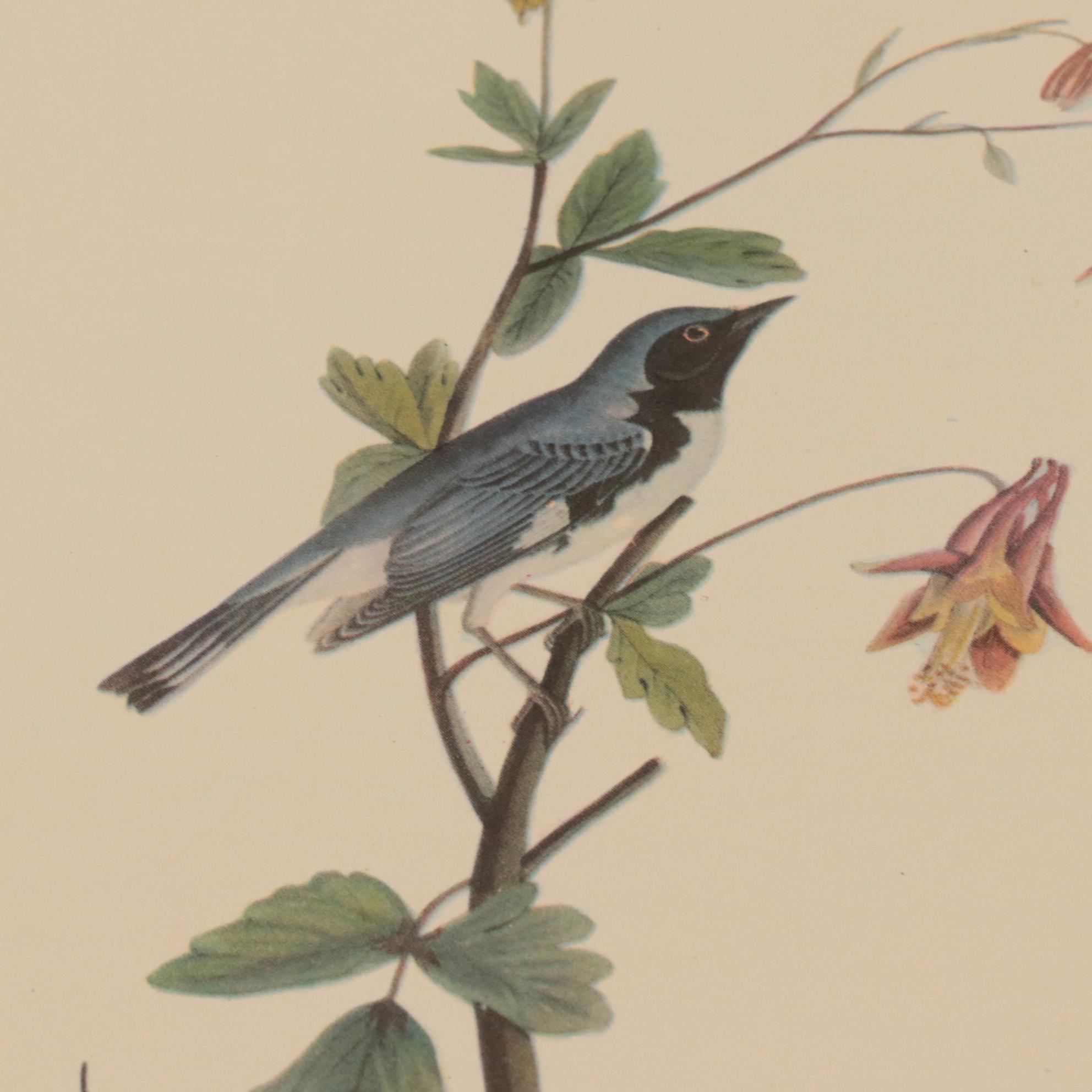 "Audubon's Birds of America" with Commentary by Roger Tory Peterson and More