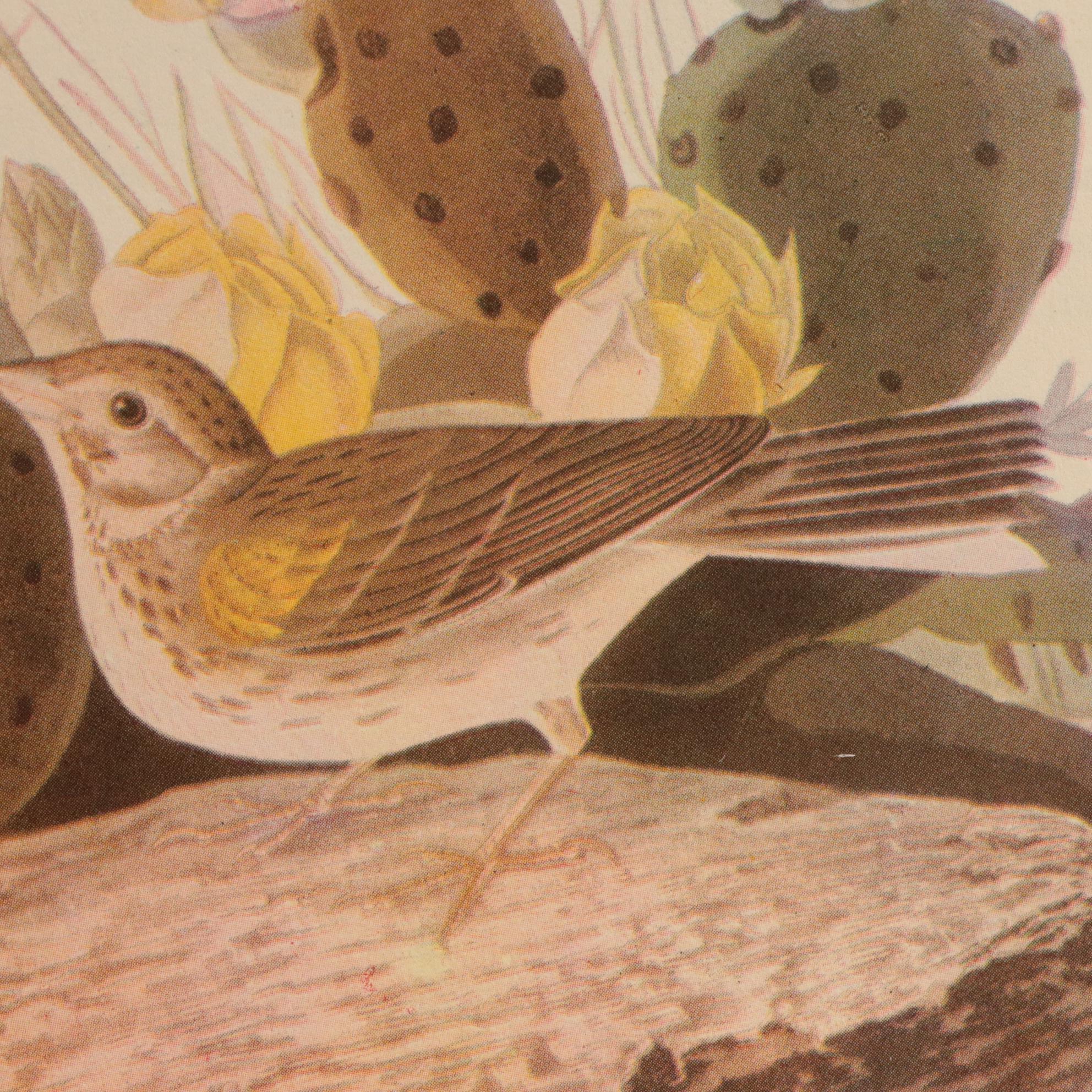 "Audubon's Birds of America" with Commentary by Roger Tory Peterson and More