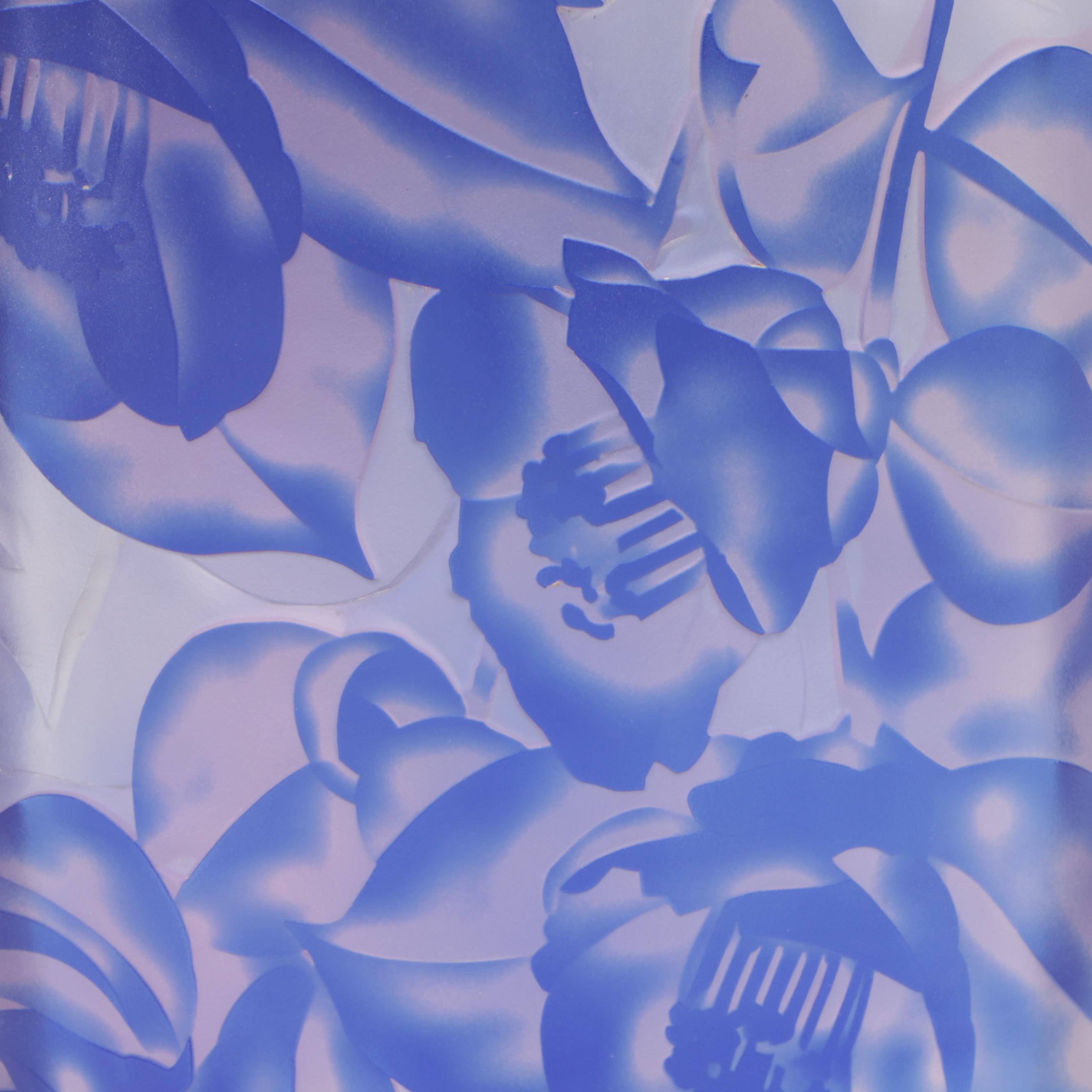 Moser Carved and Frosted Crystal Vase