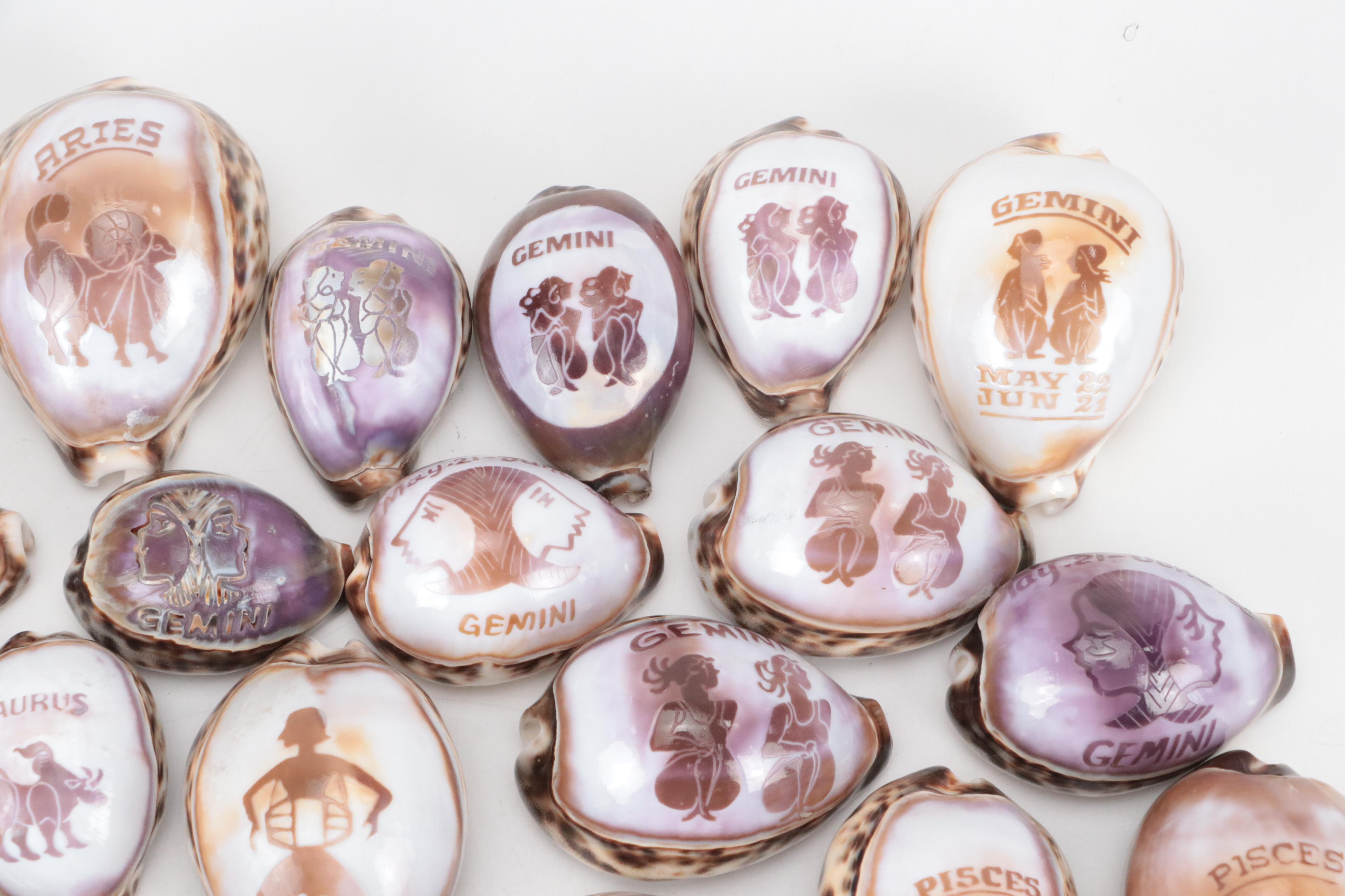 Zodiac Carved Tiger Cowrie Shells