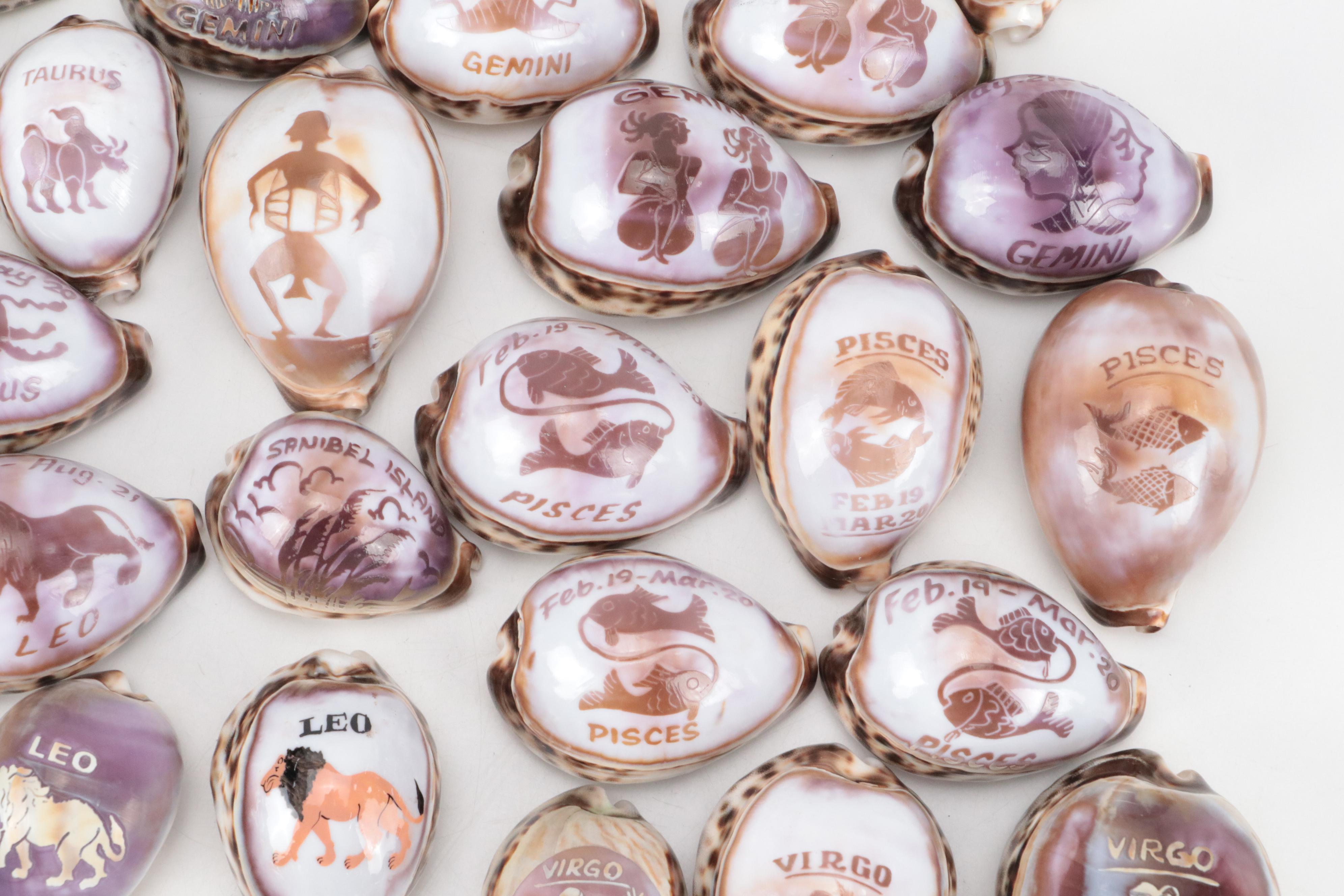 Zodiac Carved Tiger Cowrie Shells