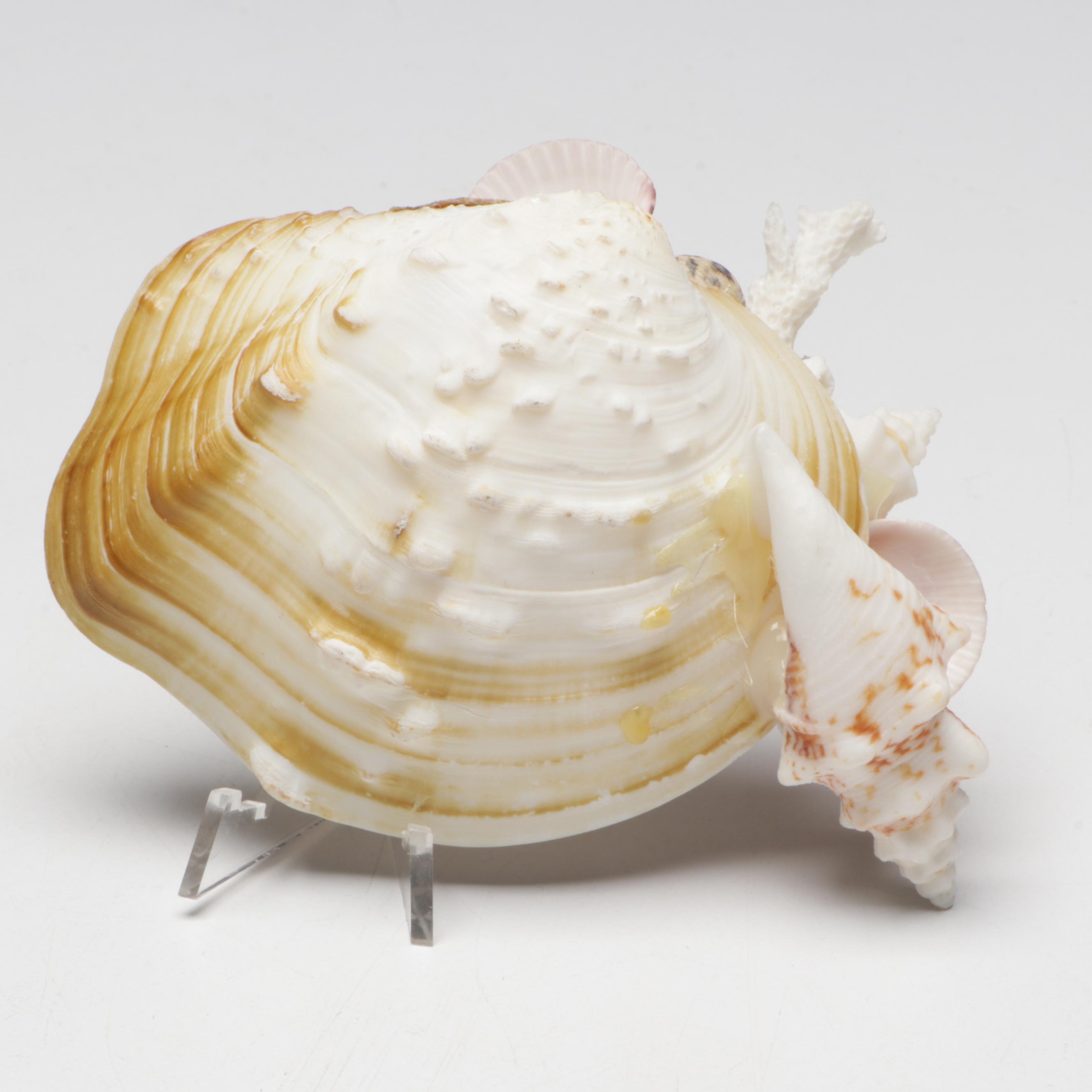 Marine Folk Art Seashell Figurines