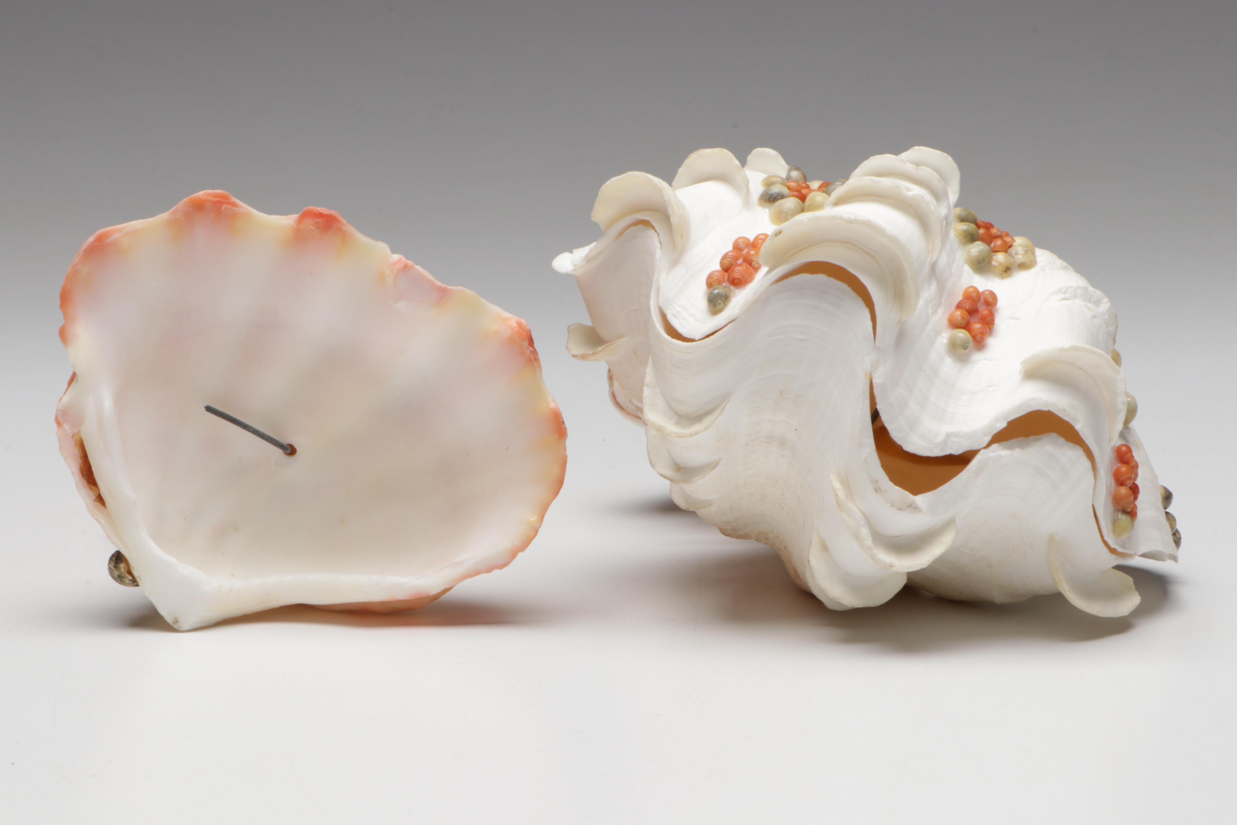 Marine Folk Art Seashell Figurines