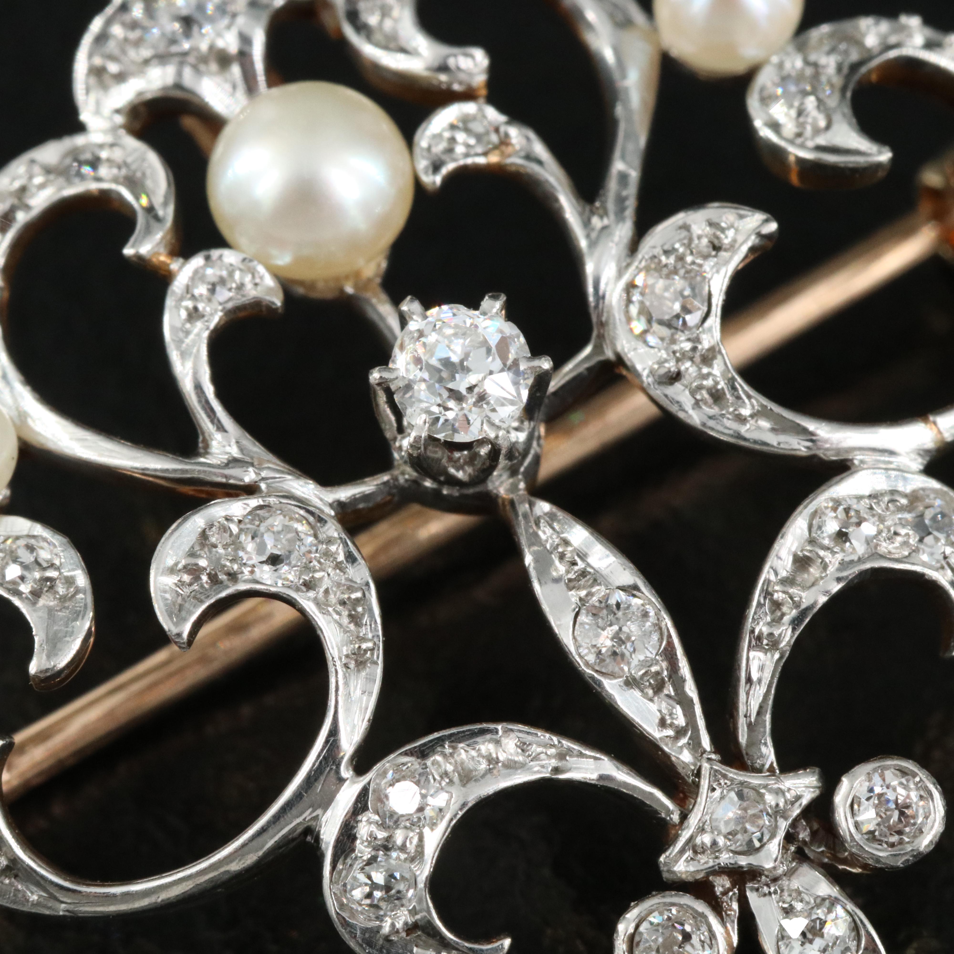 Edwardian 14K Pearl and Diamond Fleur-de-Lis Brooch with Platinum Top