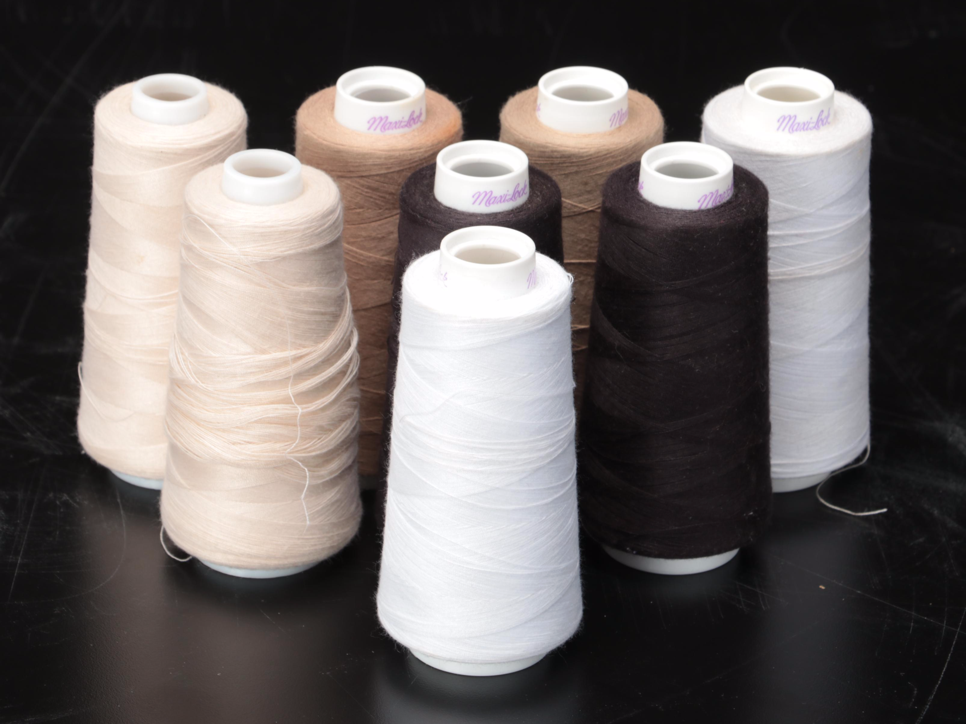 Bernette for Bernina Serger Machine With Case and Assorted Thread Cones