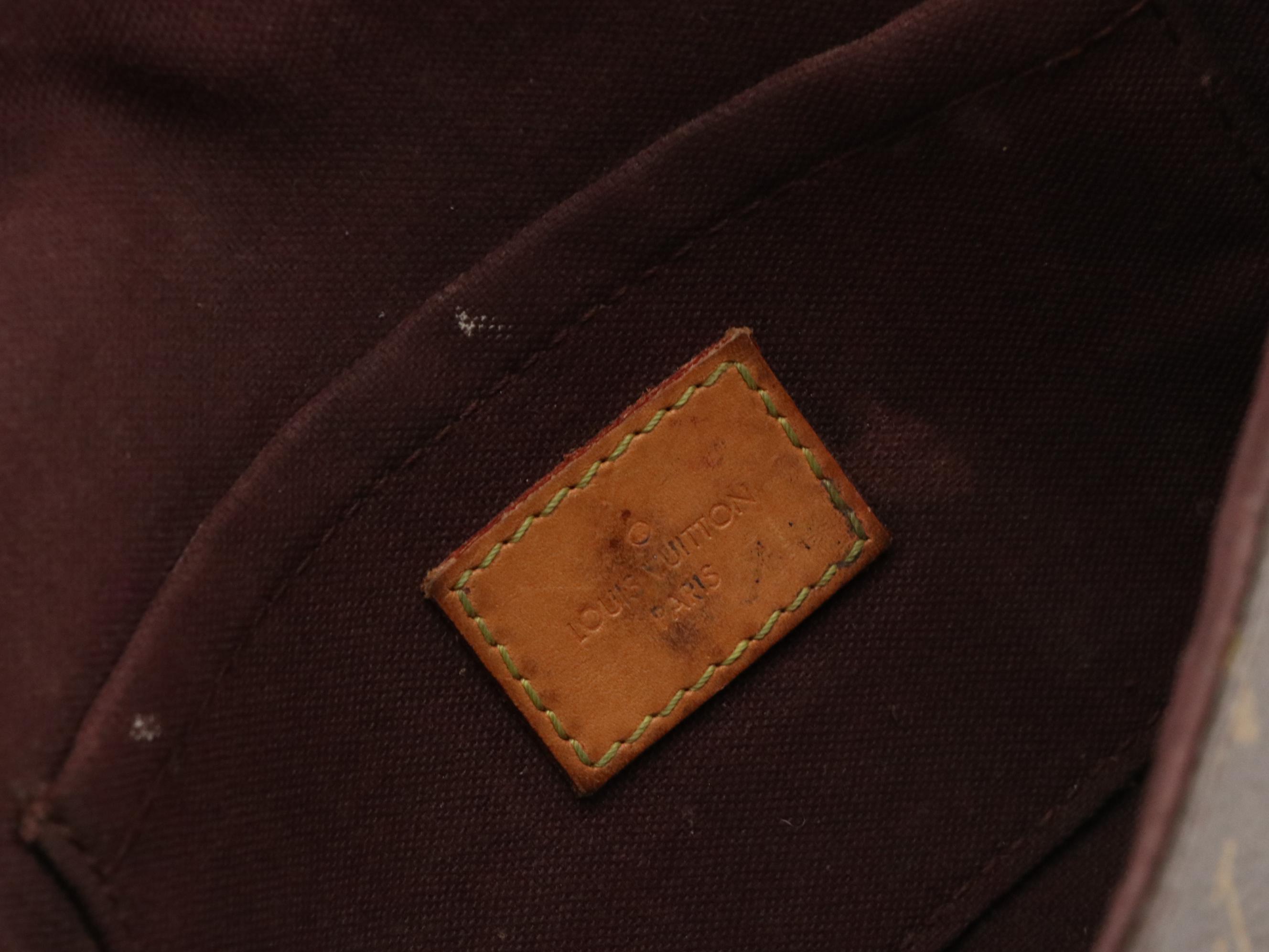 Louis Vuitton Favorite PM Two-Way Bag in Monogram Canvas