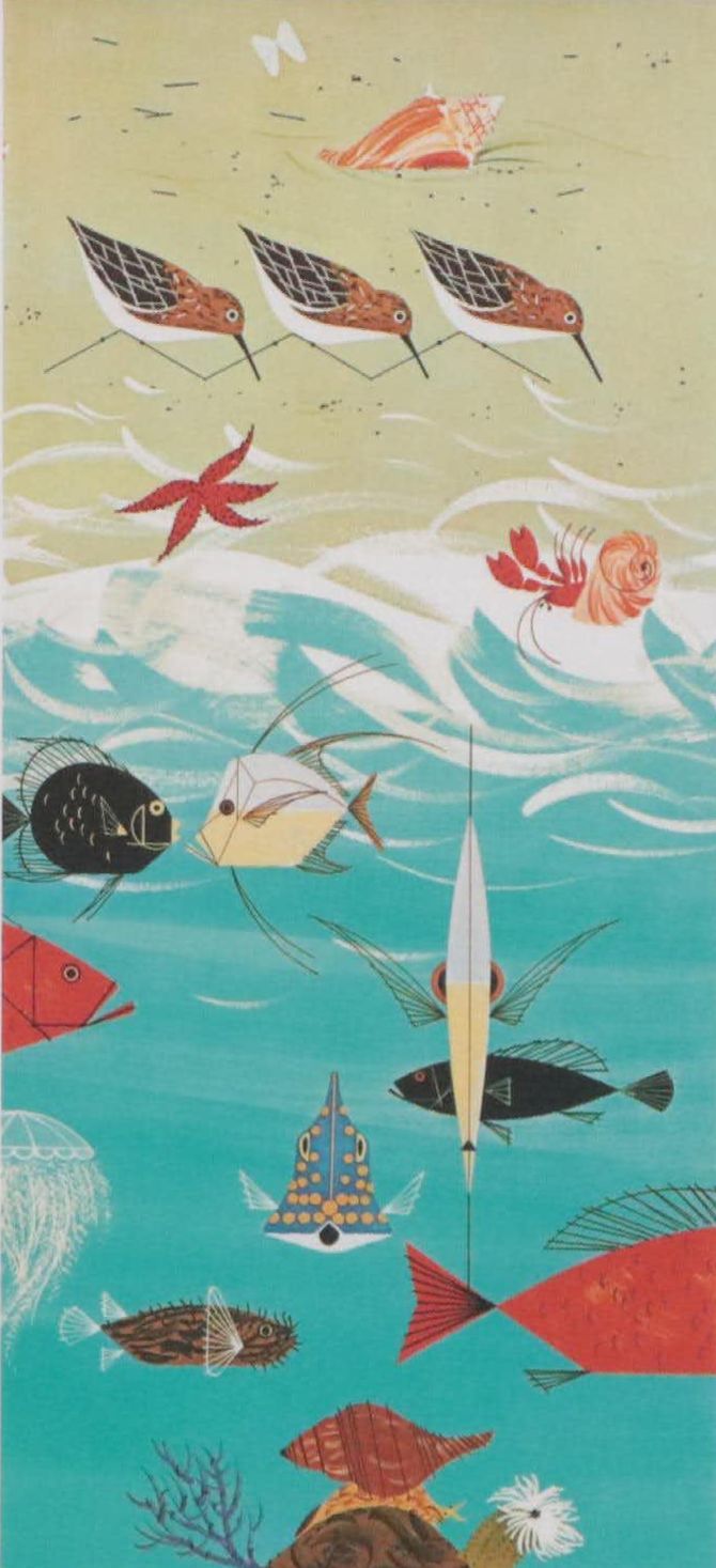 Giclée After Charley Harper "Beach Birds," Late 20th Century