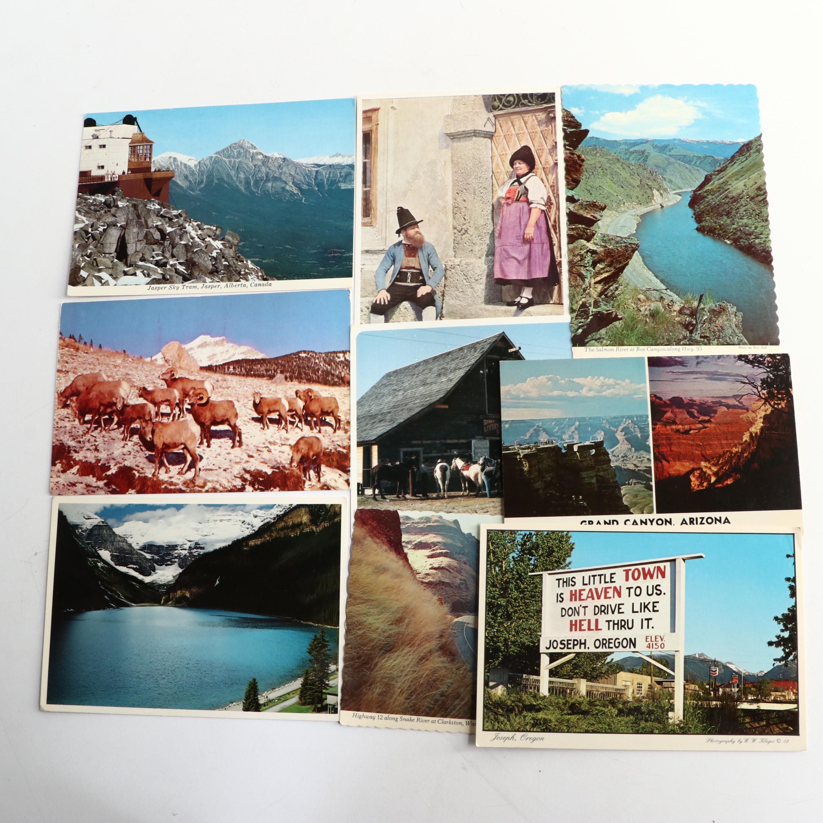 World's Fair with Other Souvenir Postcards and Photographs