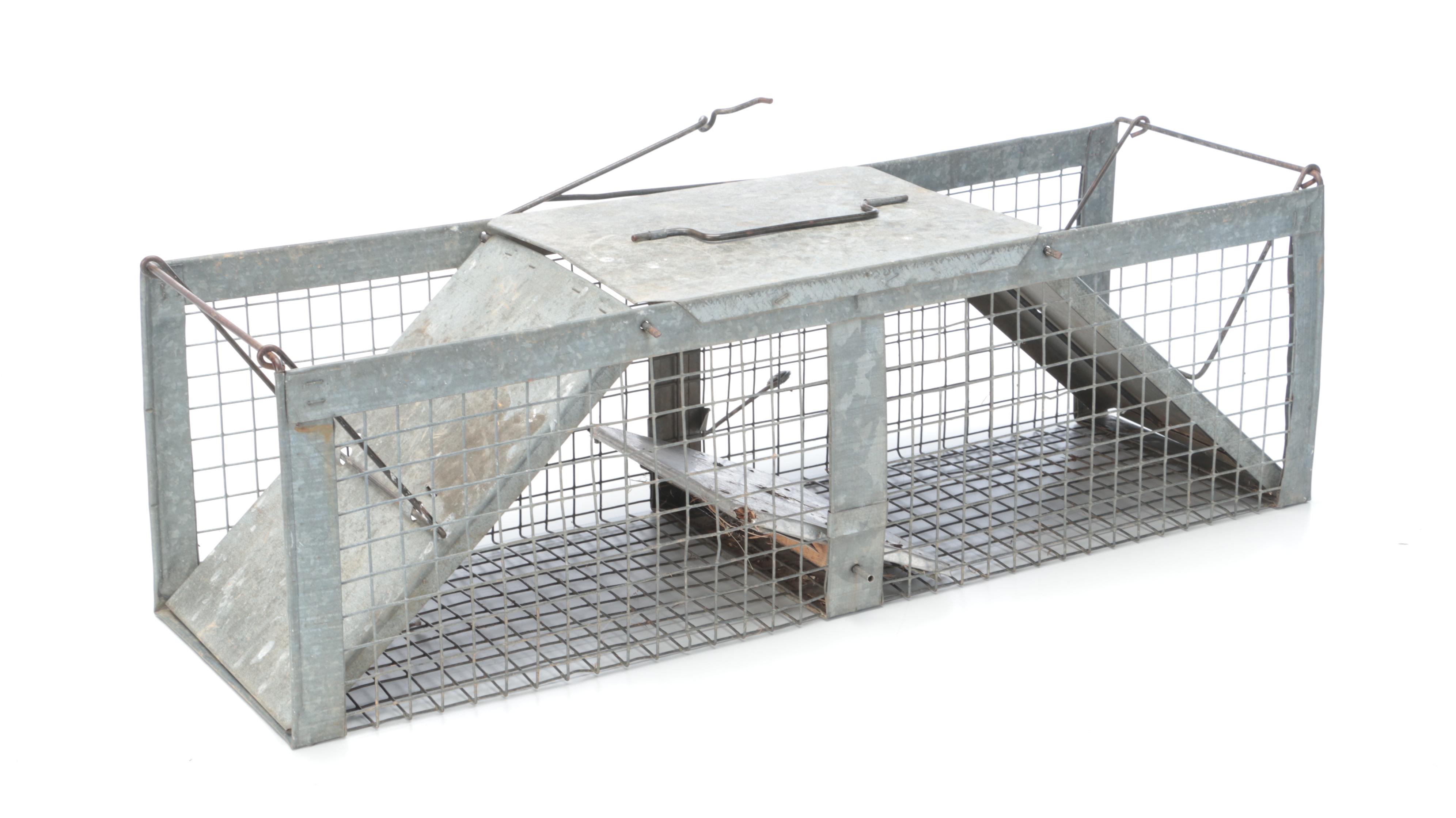 Two Metal Animal Traps