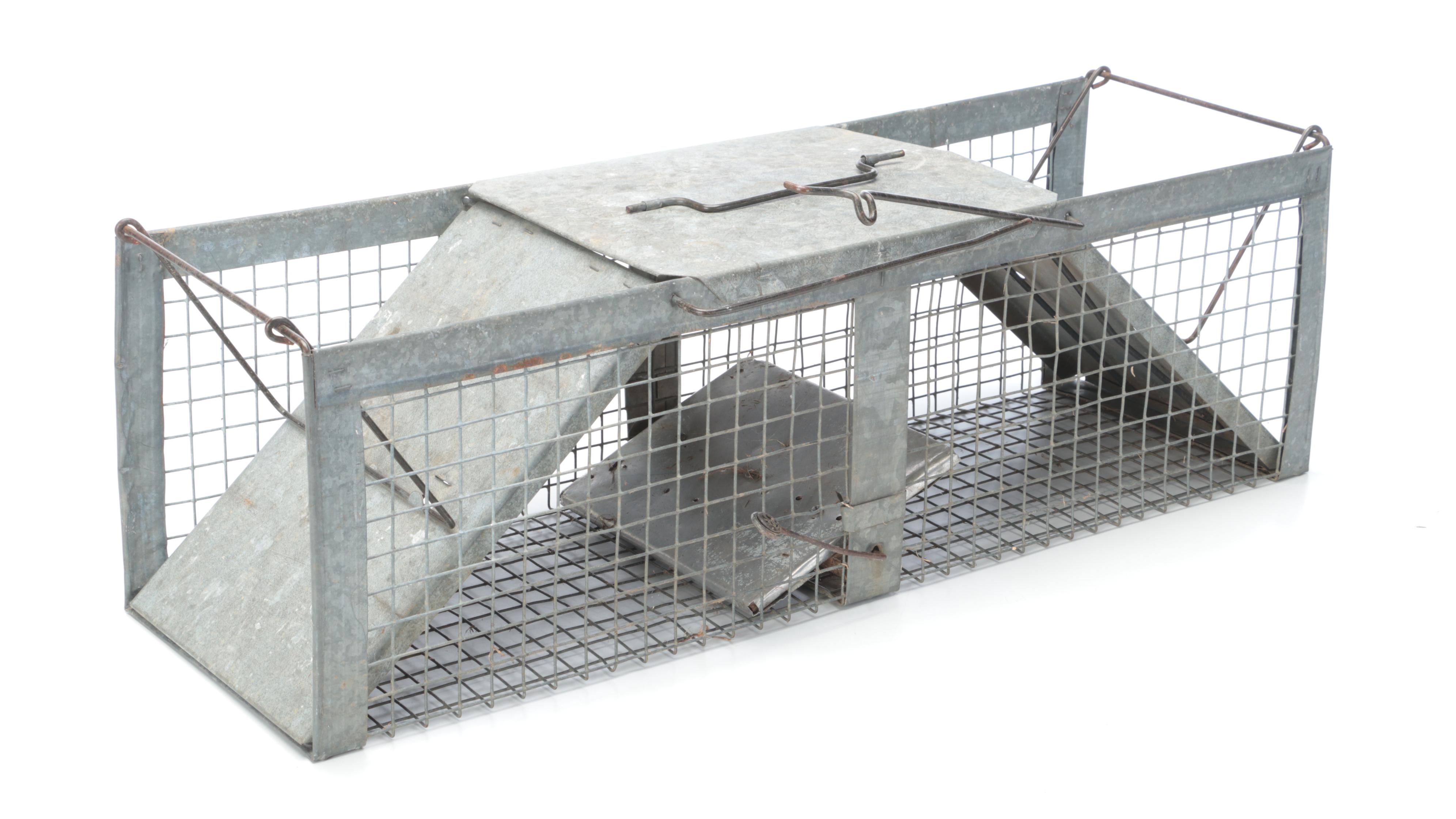 Two Metal Animal Traps