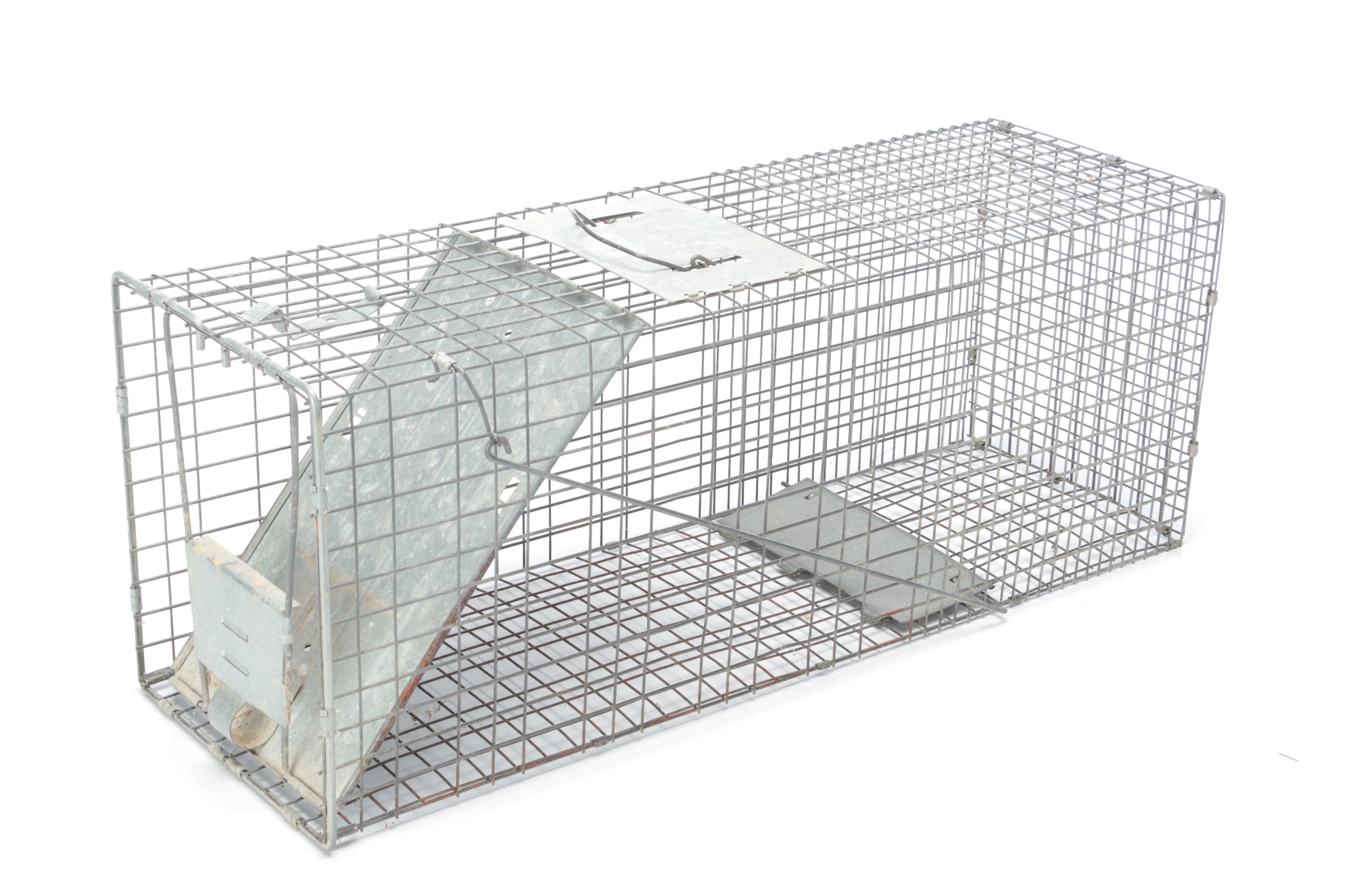 Two Metal Animal Traps