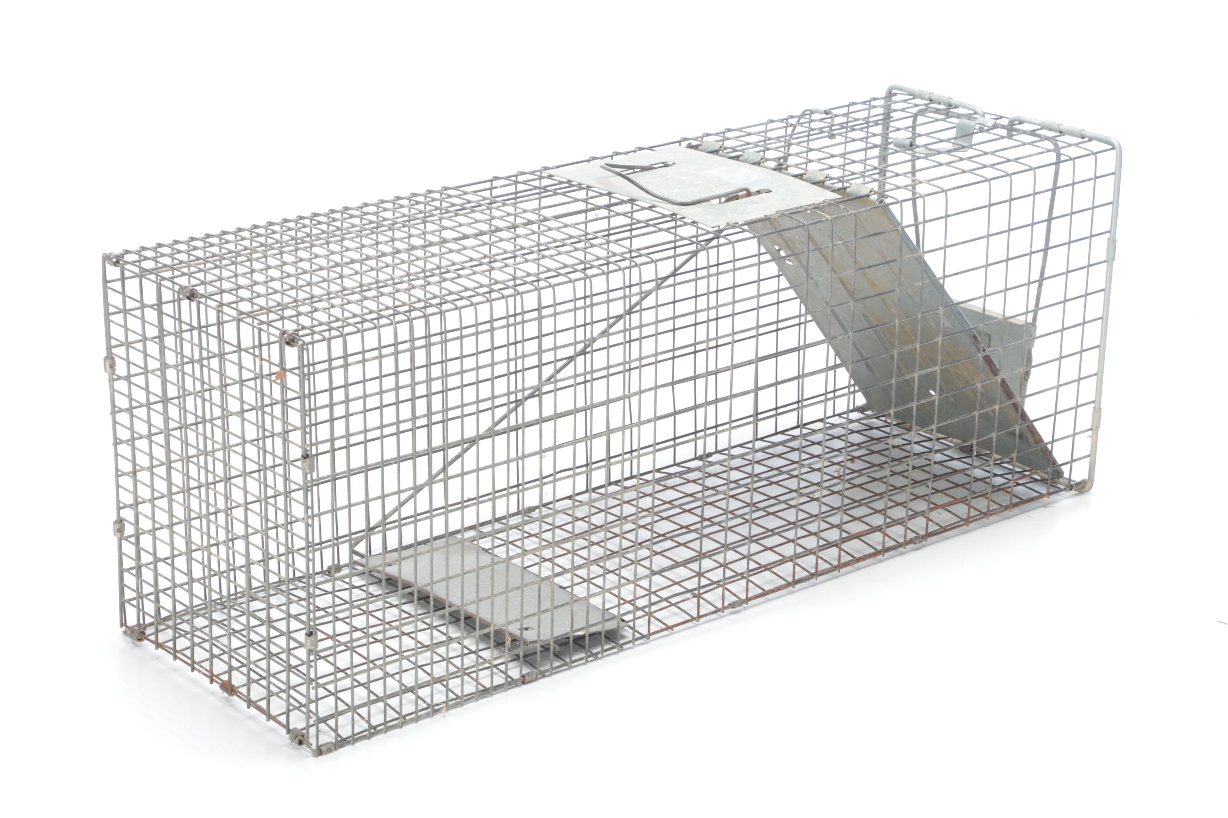 Two Metal Animal Traps