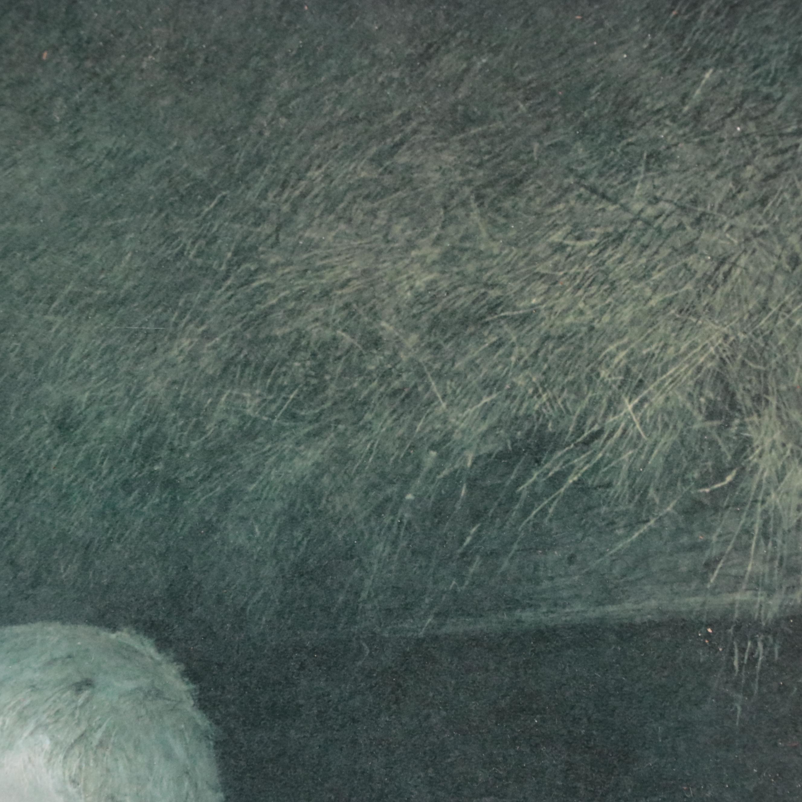 Collotype after Andrew Wyeth's "Albert's Son"