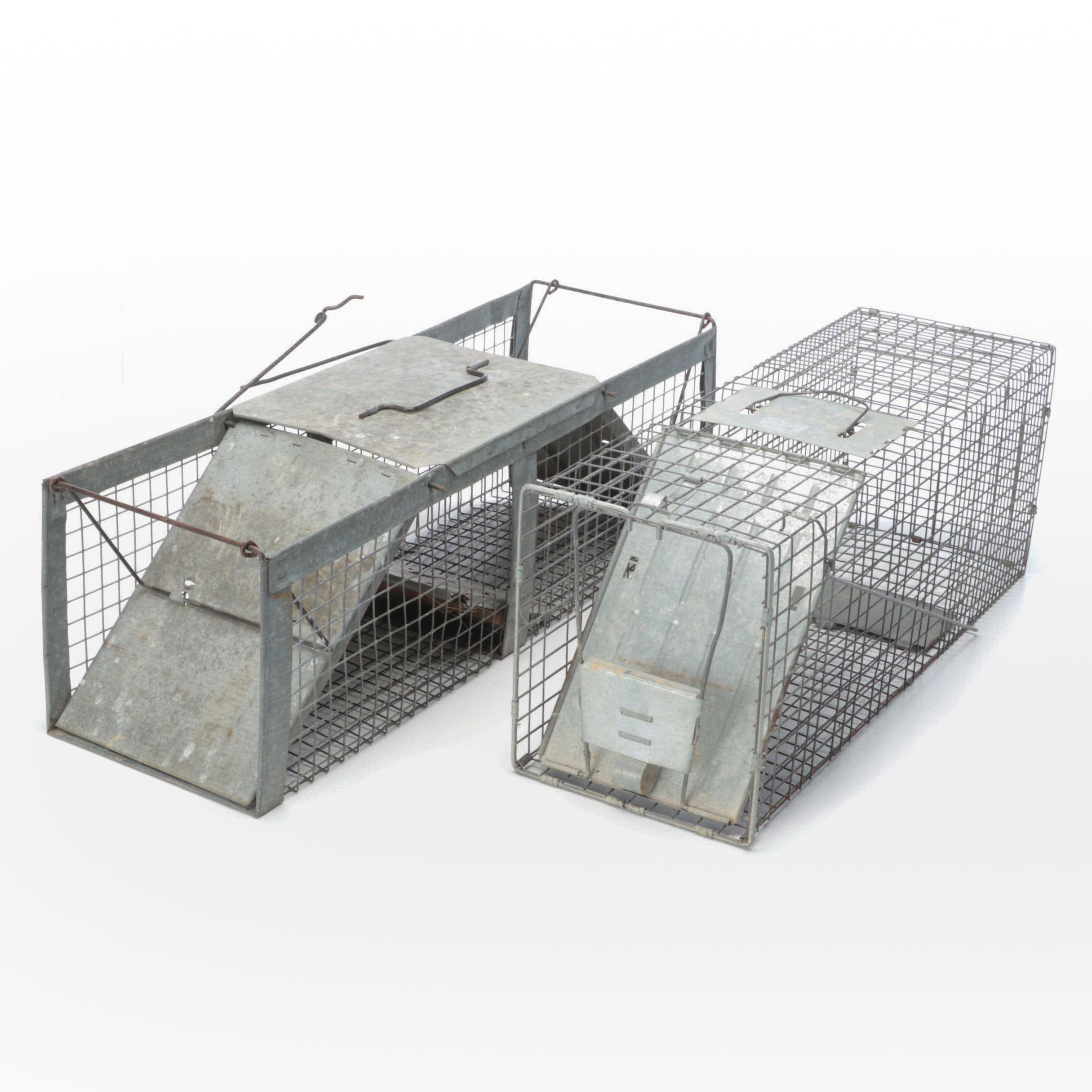 Two Metal Animal Traps