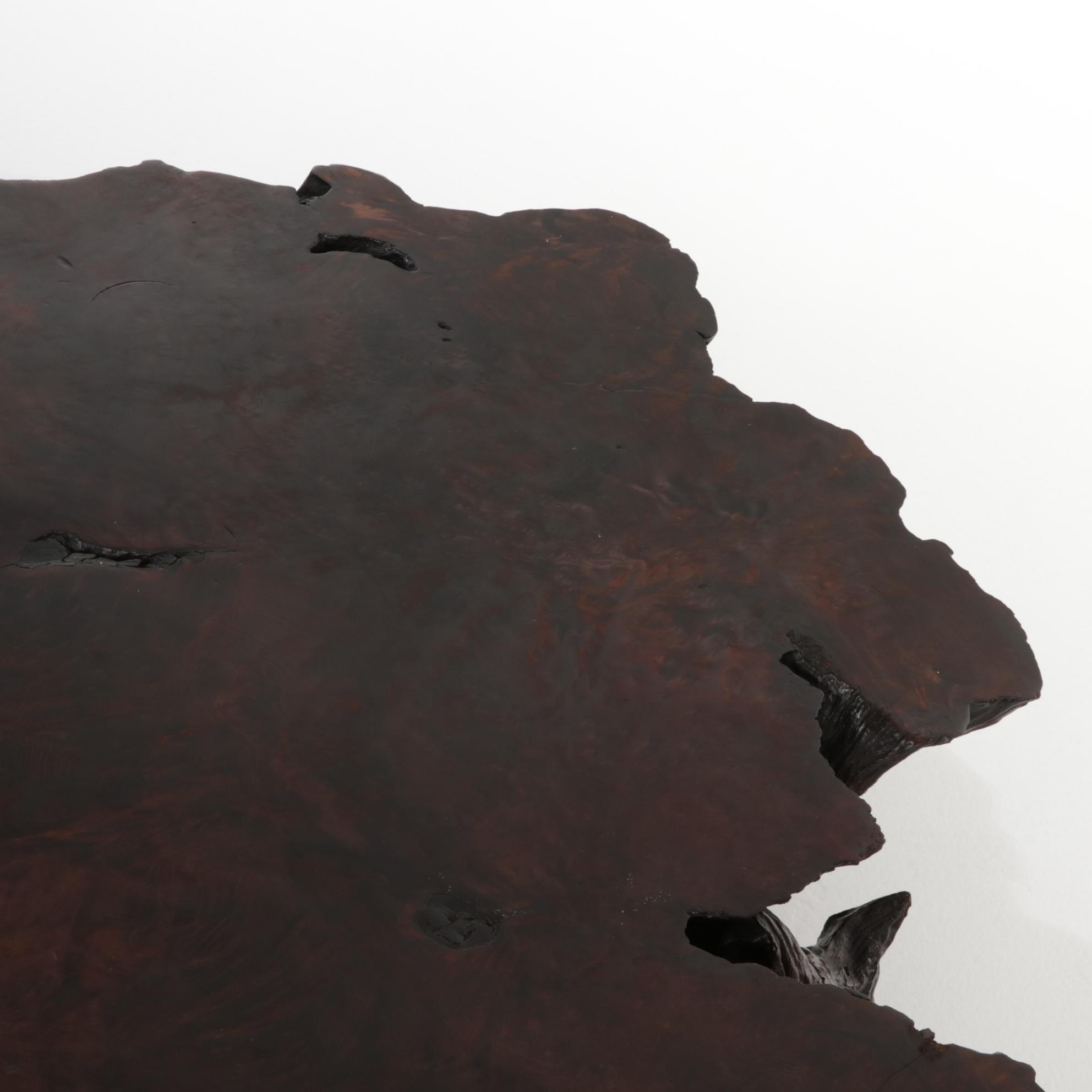 Burl Wood Slab Top Coffee Table