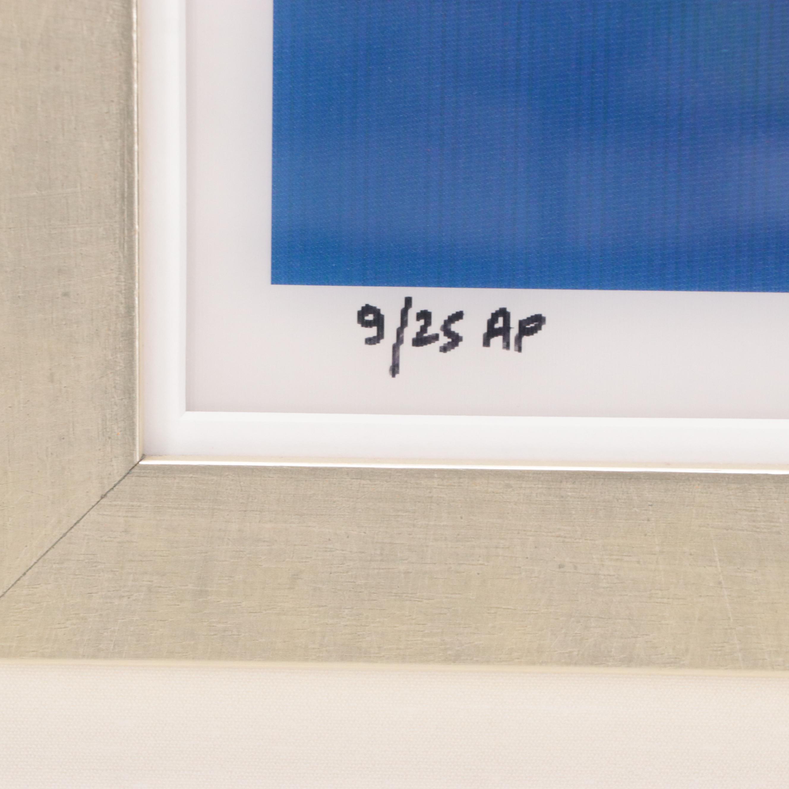 Yaacov Agam Kinetic Agamograph "USA Double Rainbow"