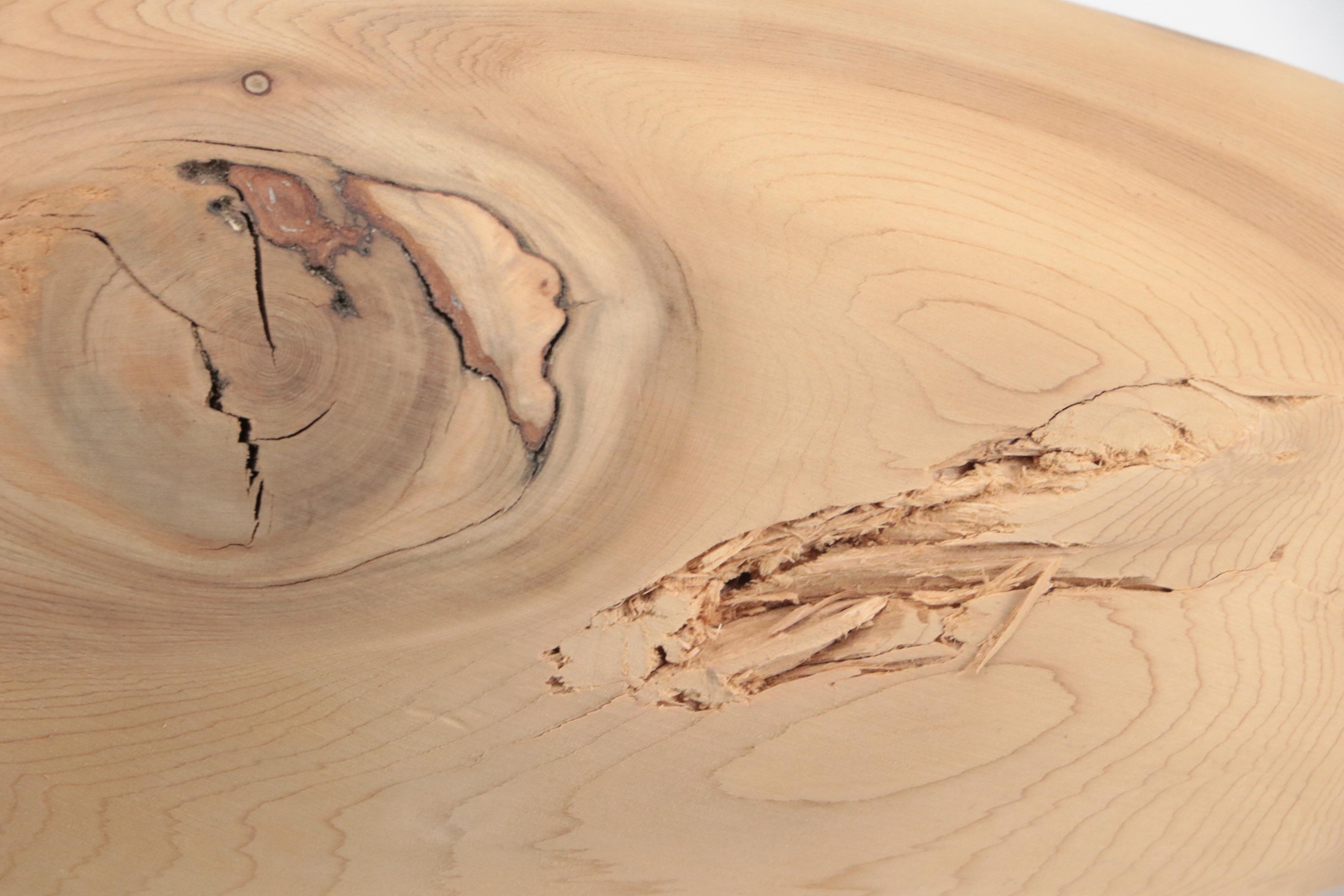 Unfinished Wood Duck Figurine Blanks