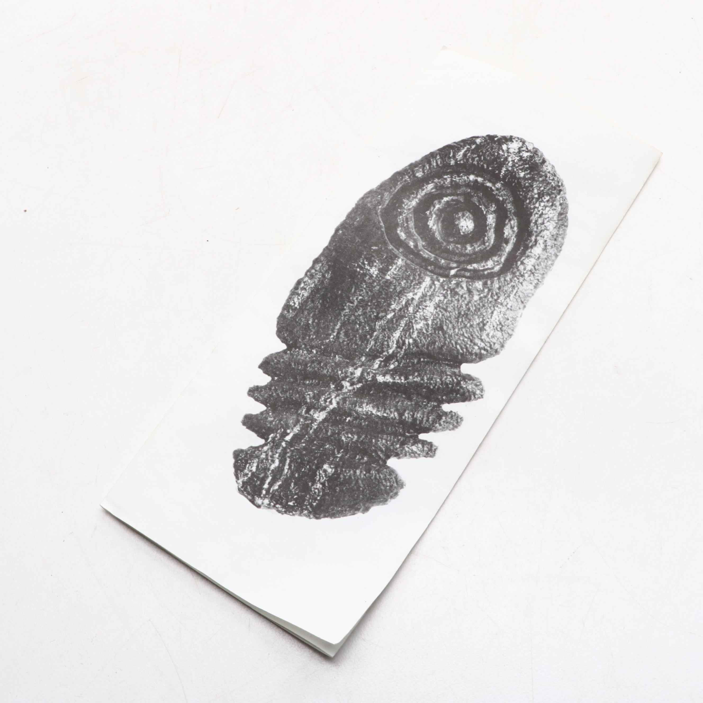 Stoneware Art Pottery Bottle Vases