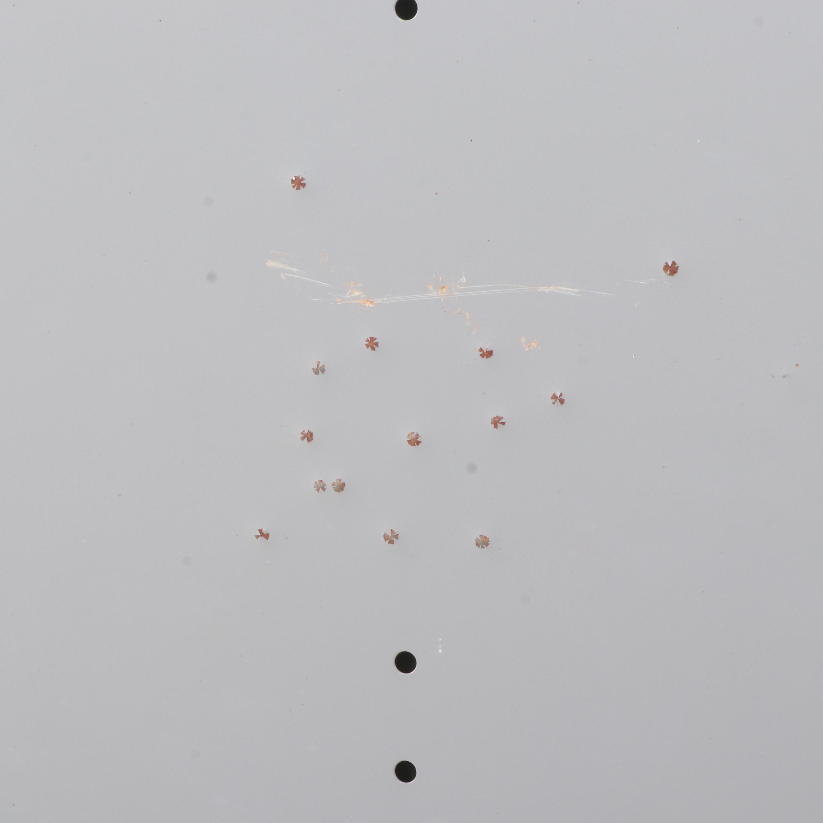 Two Salsbury Industries Powder-Coated Steel Double-Tier See-Through Lockers