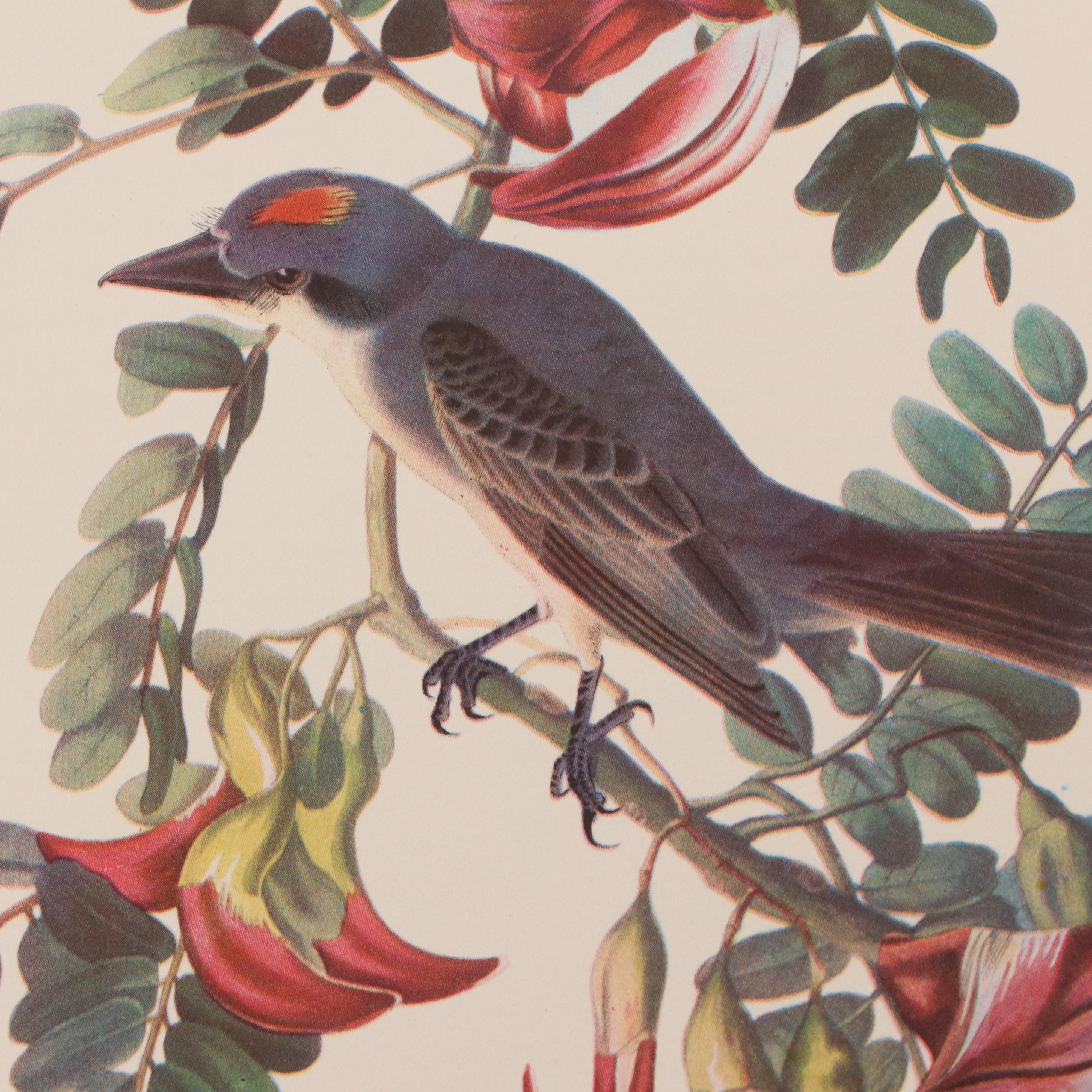 Bird and Water Fowl Offset Lithographs Prints After Roger Tory Peterson