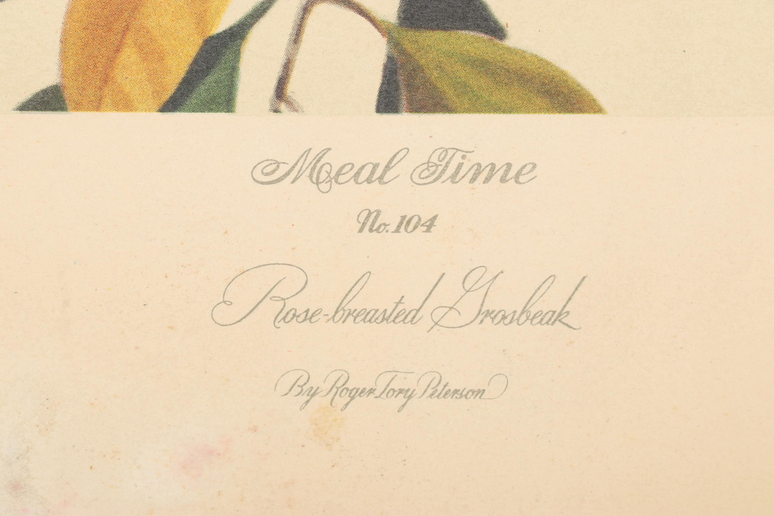 Roger Tory Peterson Ornithological Offset Lithographs Including "Cardinal," 1942